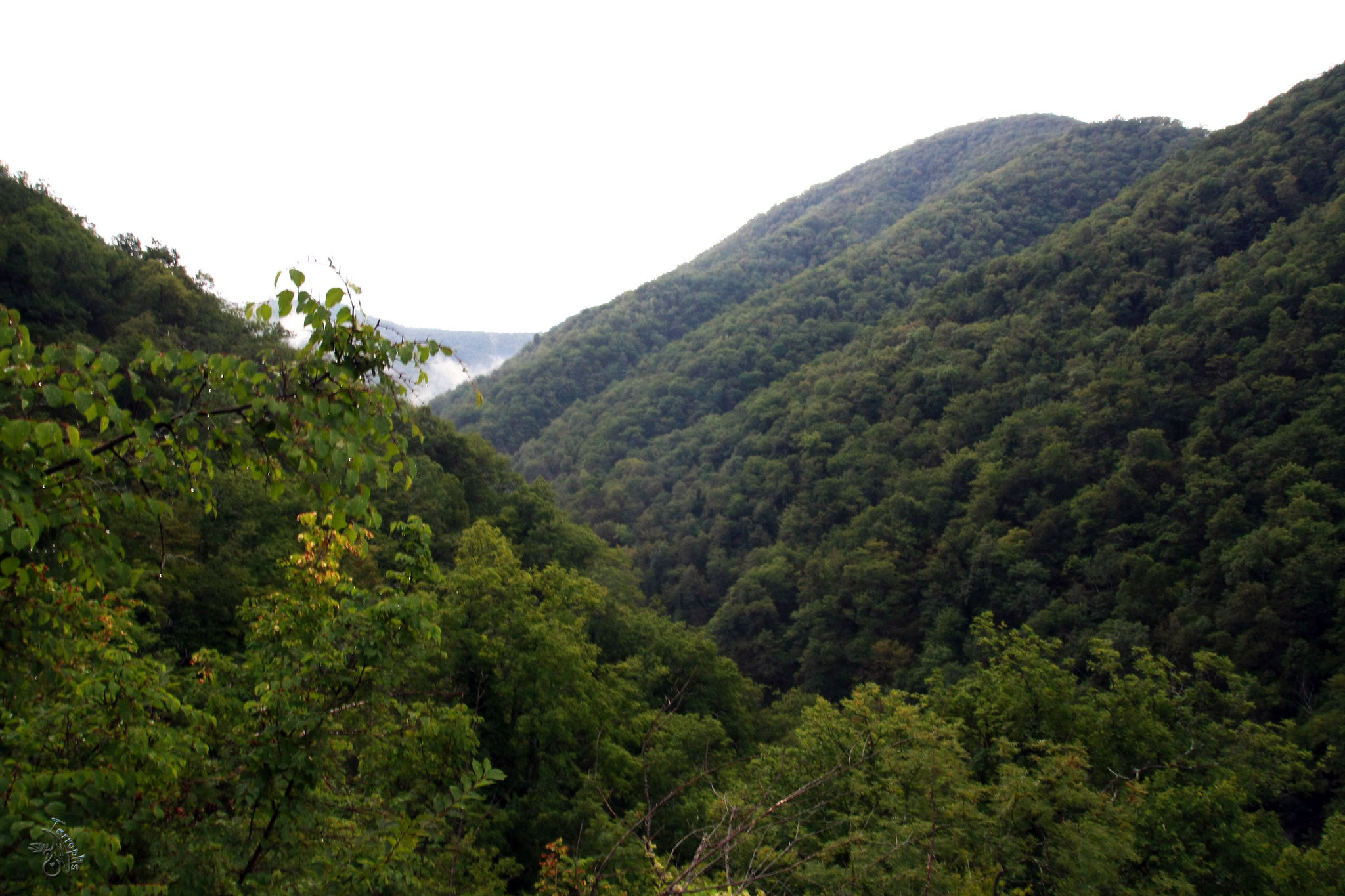 First lap. Conversations with stones - My, Forest, The mountains, Caucasus, Waterfall, Dolmens, Hike, Travels, First post, Longpost