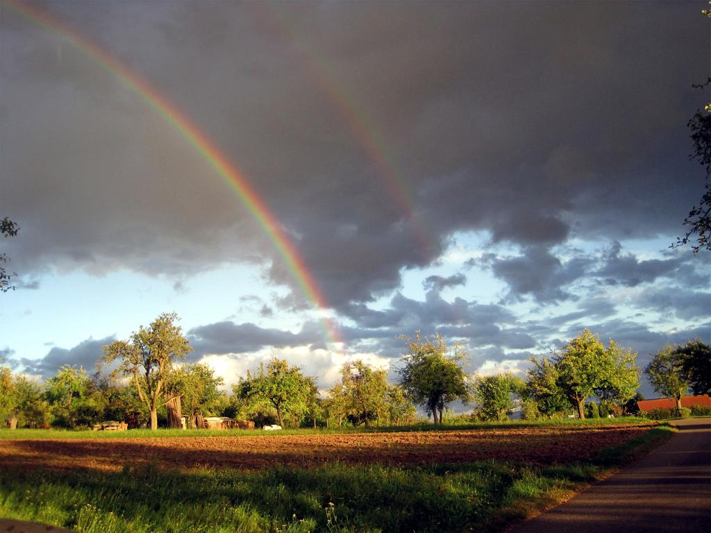 Rainbow | Пикабу