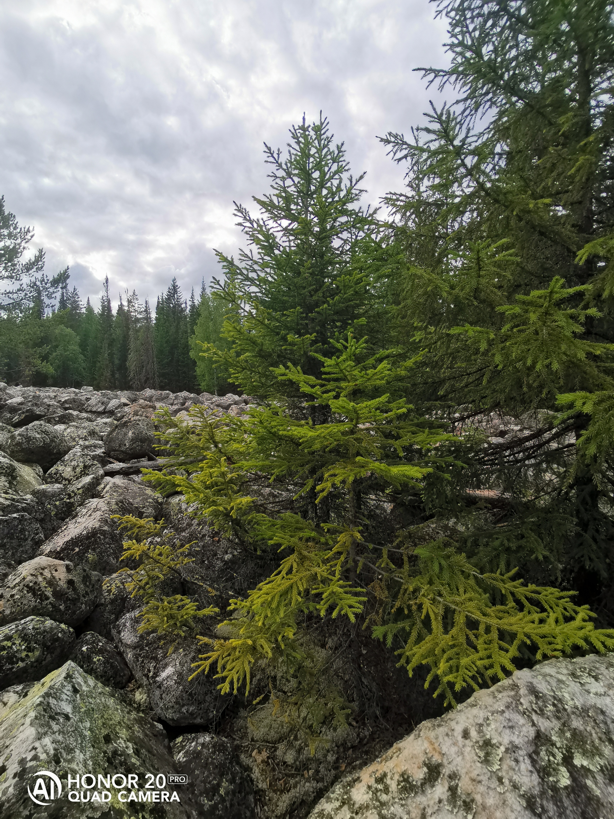 Stone River - My, Stone River, The photo, Nature, Southern Urals, Longpost