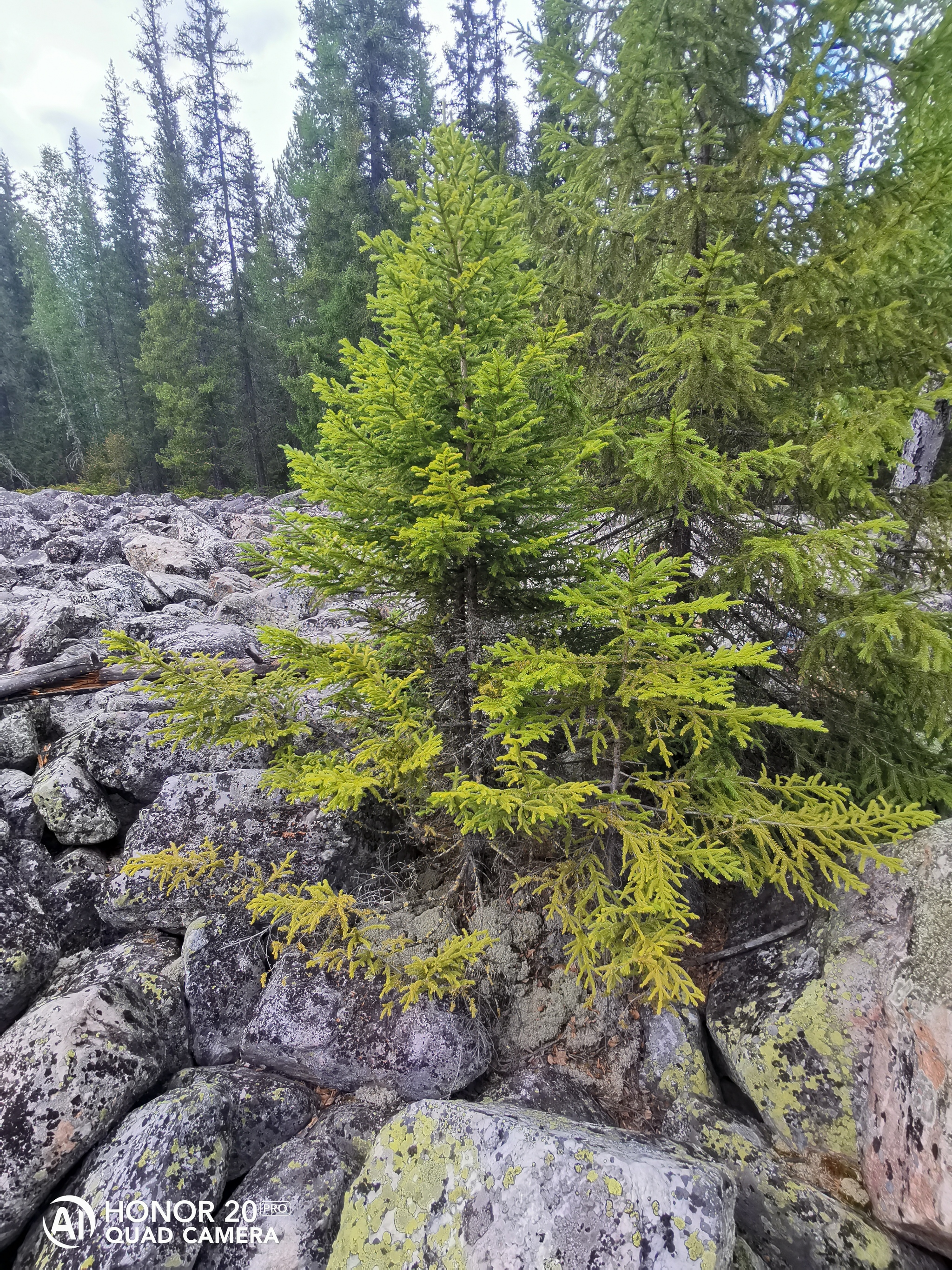 Stone River - My, Stone River, The photo, Nature, Southern Urals, Longpost