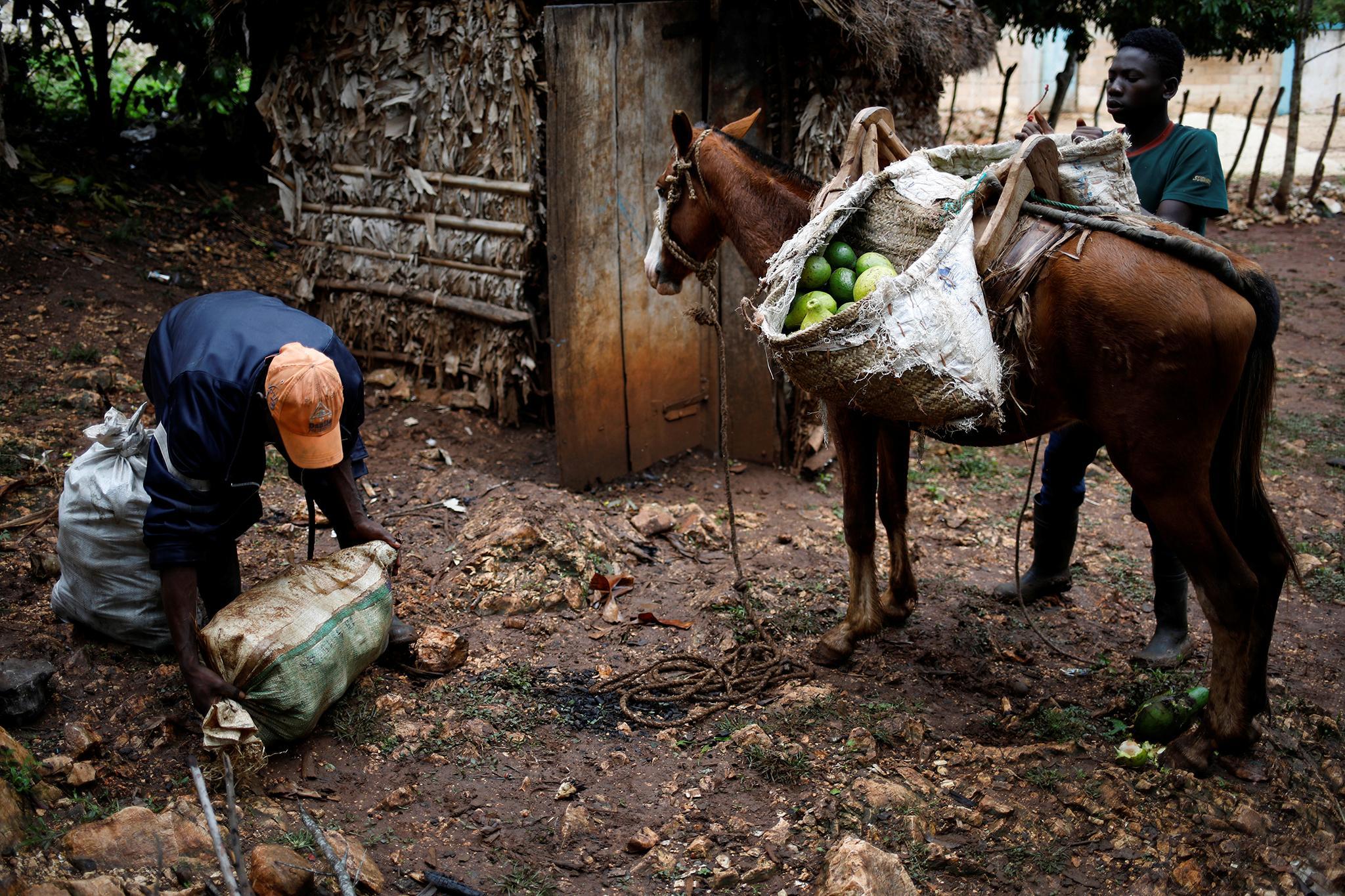 How to live in a Haitian village cut off from the world - Haiti, Caribs, A life, Izvestia newspaper, Longpost