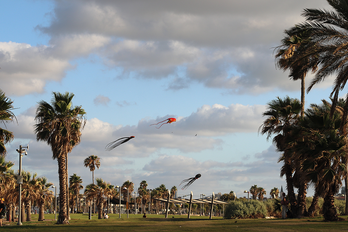 My piece of Tel Aviv - My, The photo, Israel, Tel Aviv, Longpost