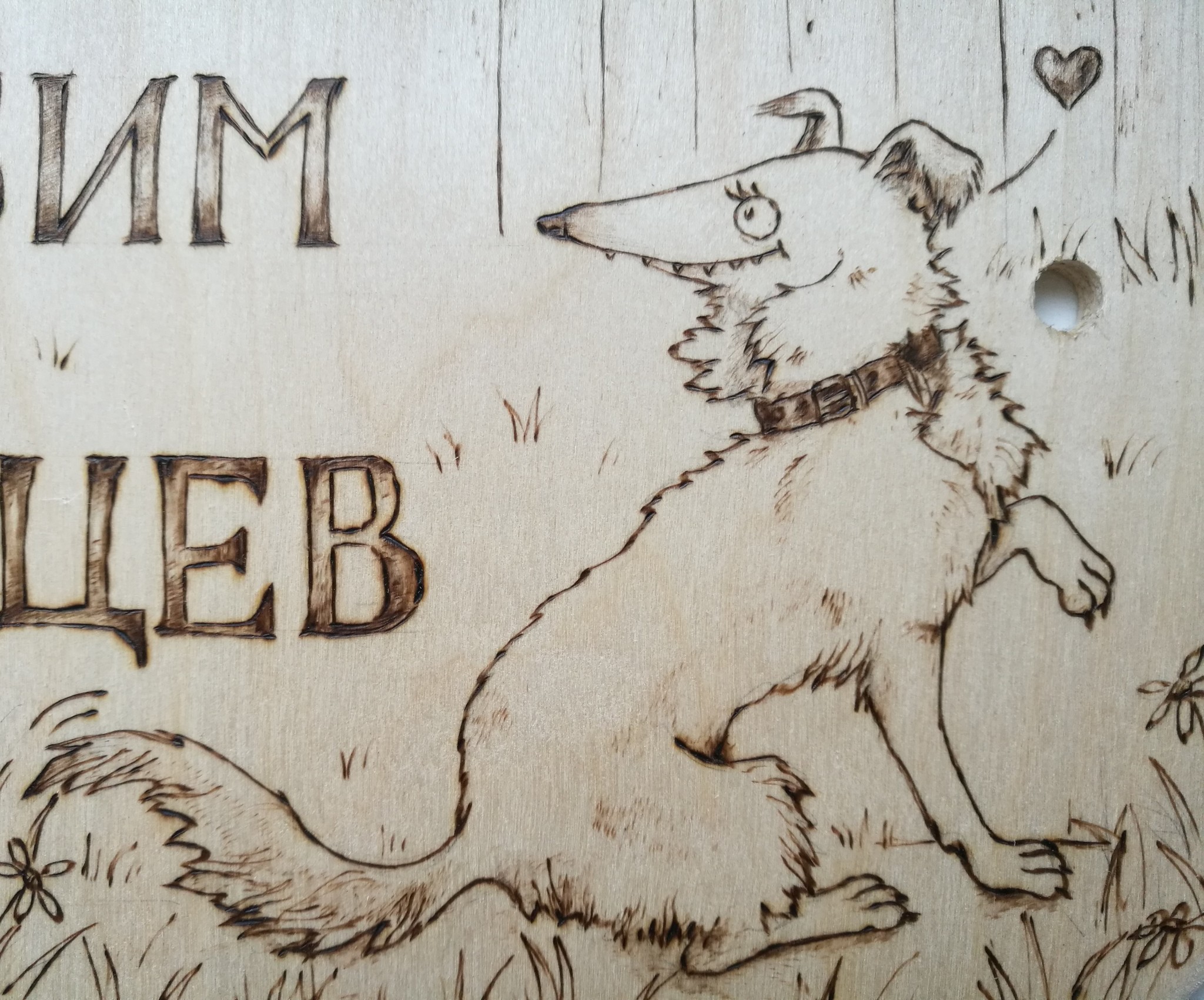 For those who like to look behind other people's fences - My, Humor, Animals, Mat, Longpost, Pyrography, Dog