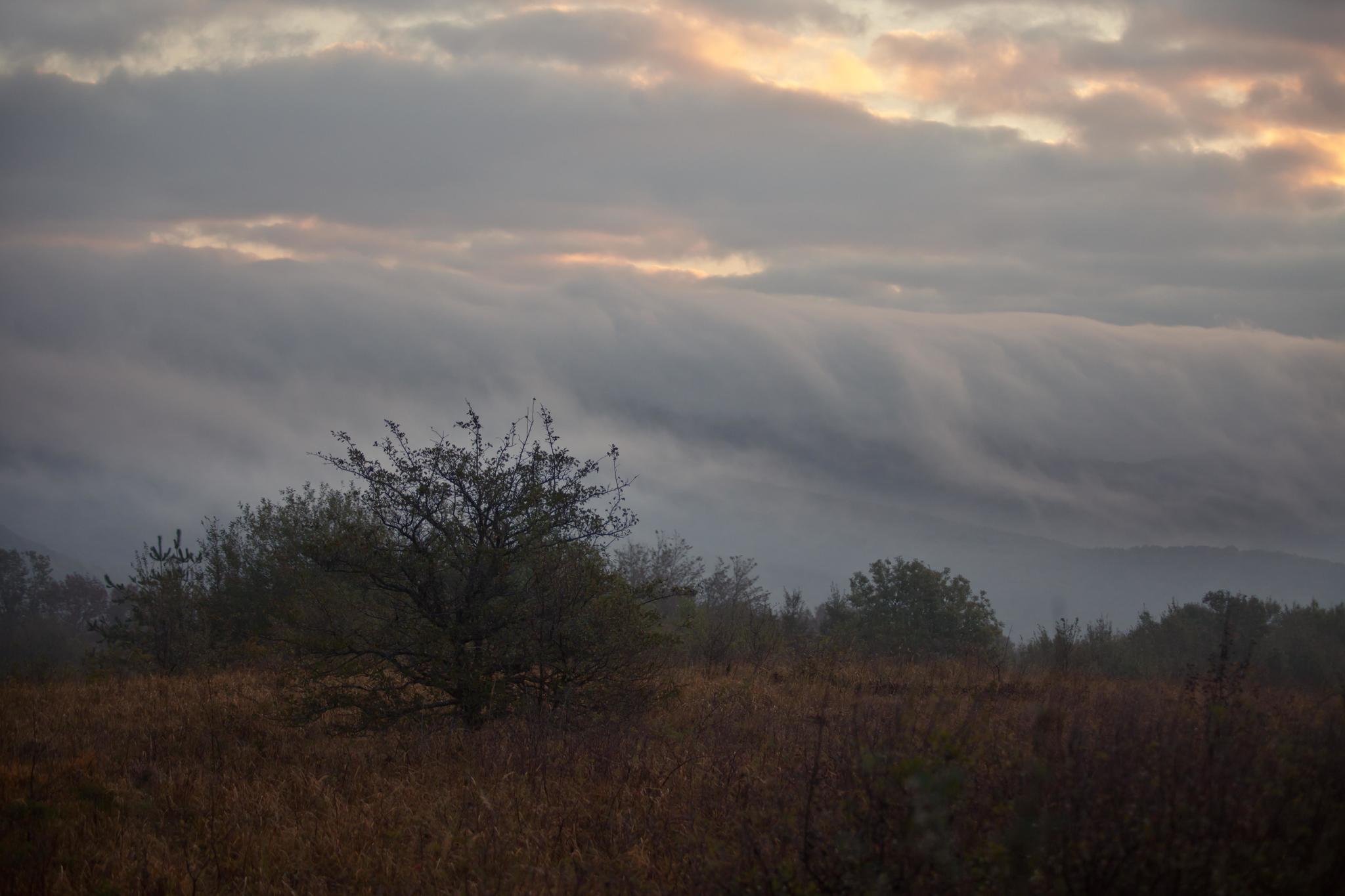 Circle three. Hide and seek with whisperers - My, The mountains, Hike, Stars, dawn, Mystic, The photo, Forest, Longpost