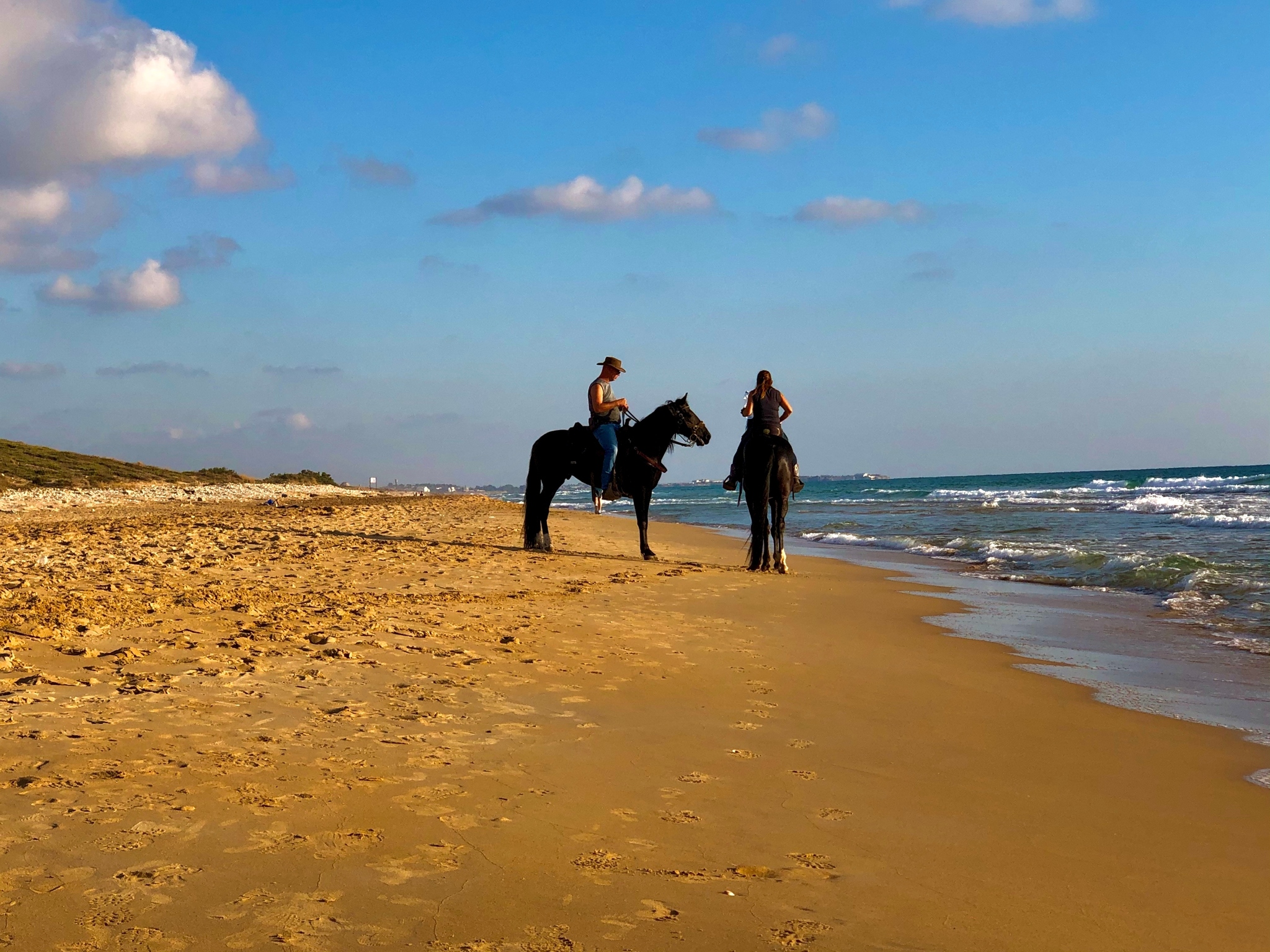 Mediterranean voyage on horseback - My, Sea, Horses