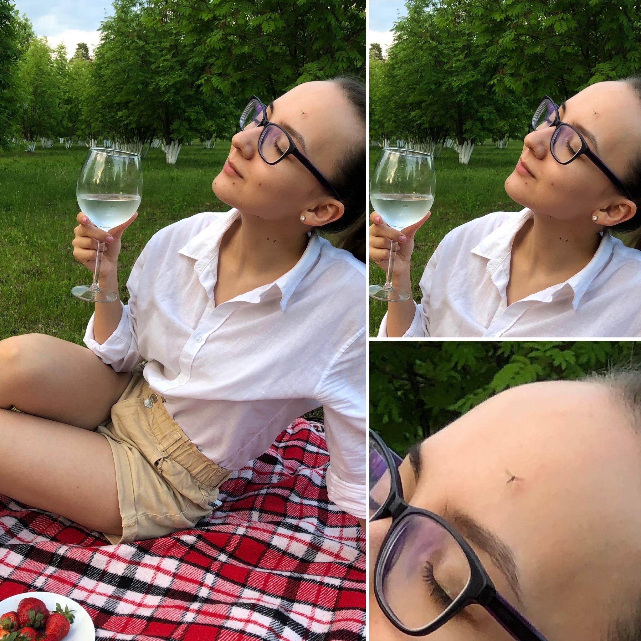 It’s hard to imagine that you’re in Paris and drinking wine under the Eiffel Tower when you live in the Khanty-Mansiysk Autonomous Okrug - My, KhMAO, Mosquitoes, Summer, Paris