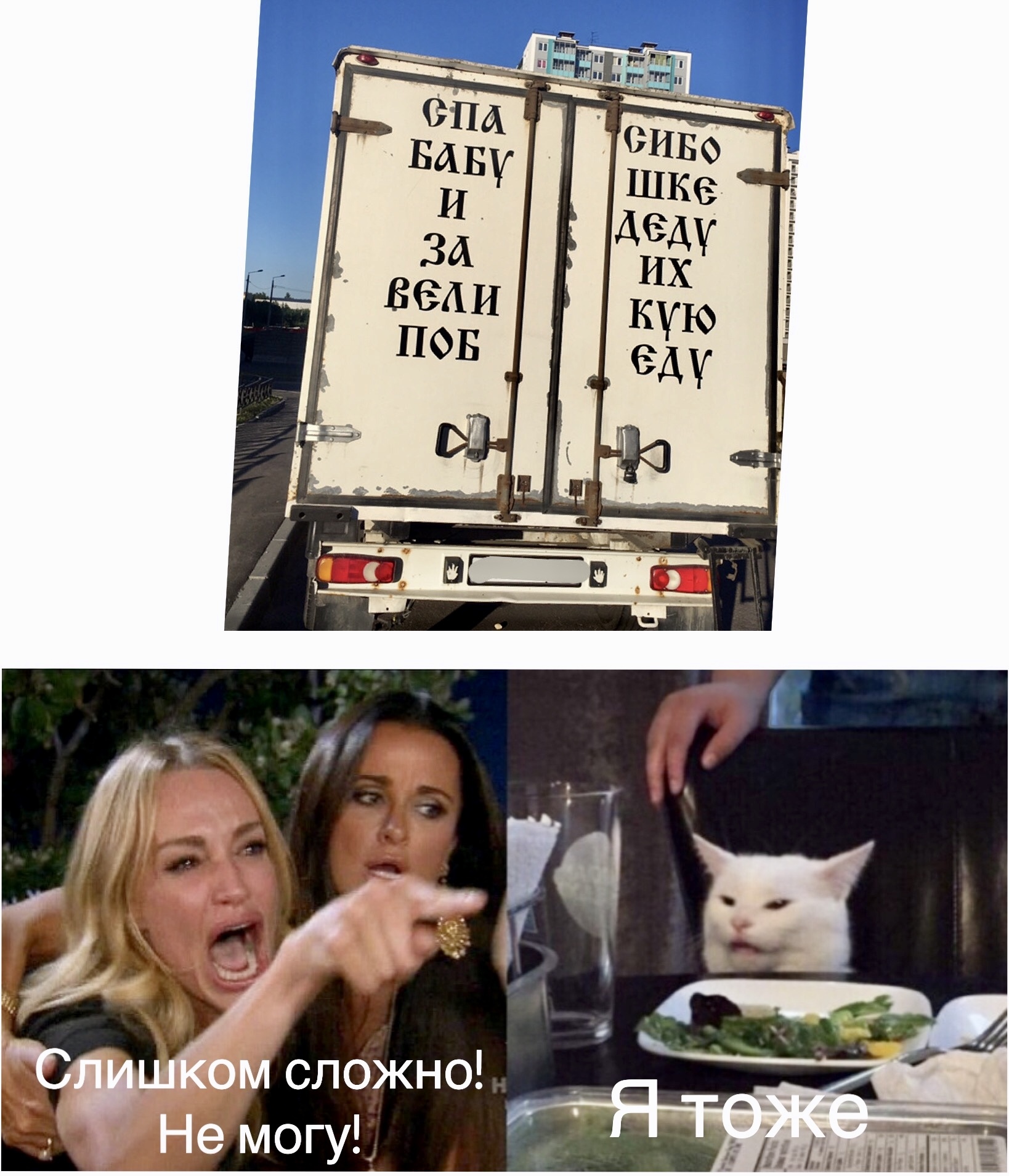 Мем с котом и женщиной