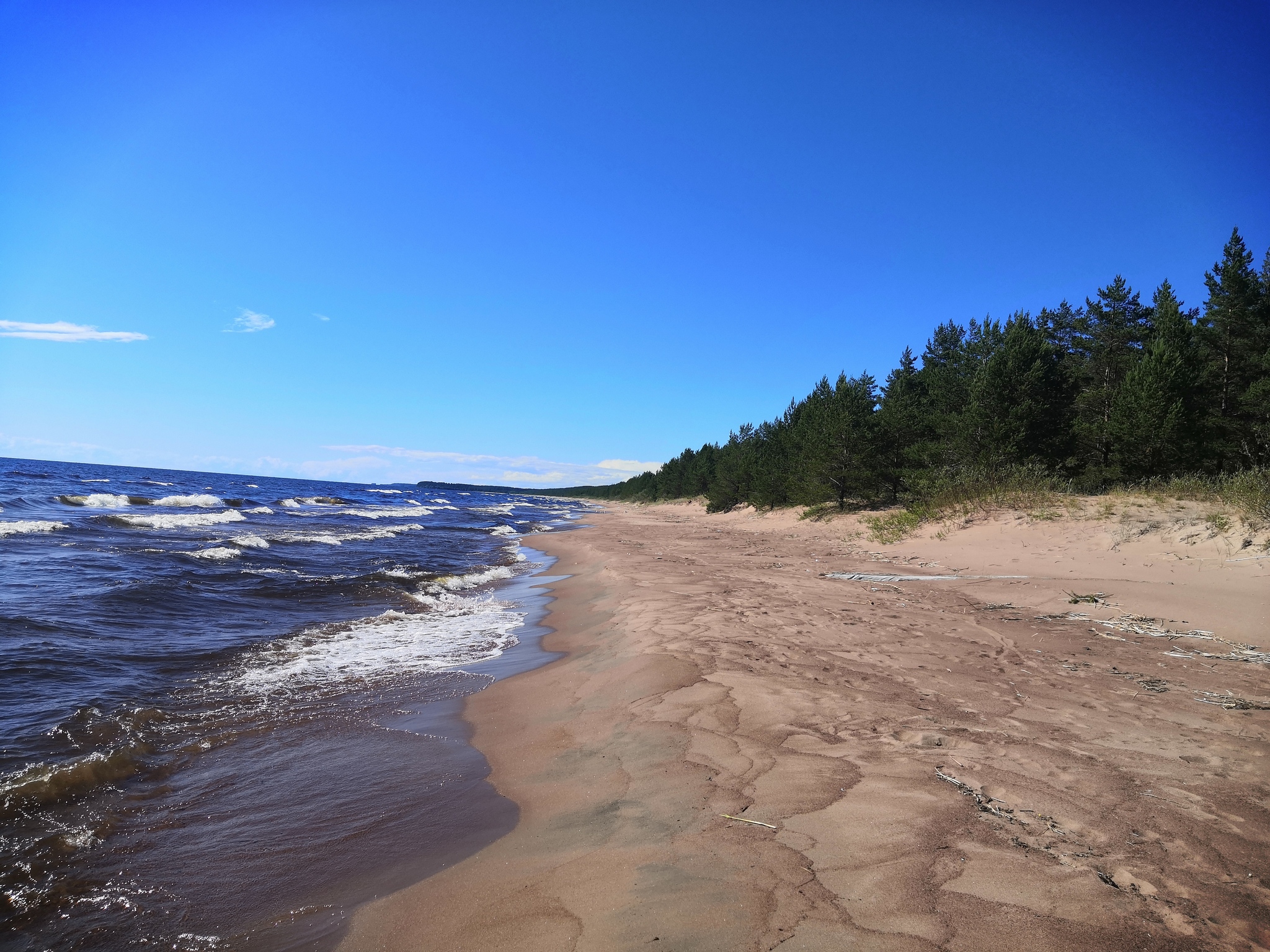 Ladoga lake. Beach and mountains of garbage - My, Garbage, Negative, Nature, Longpost, Ladoga lake