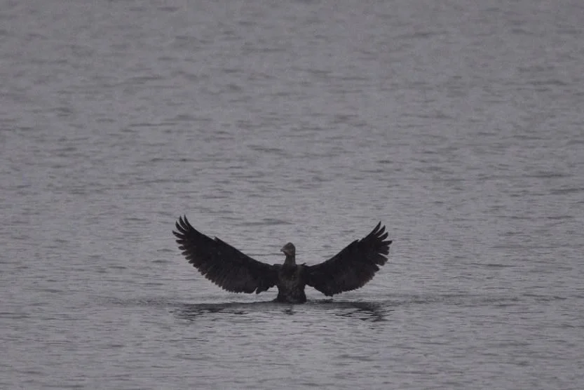 What will happen to Lake Teply in Inors? - My, Inors, Ufa, Bashkortostan, Dock, Beautification, Video, Longpost