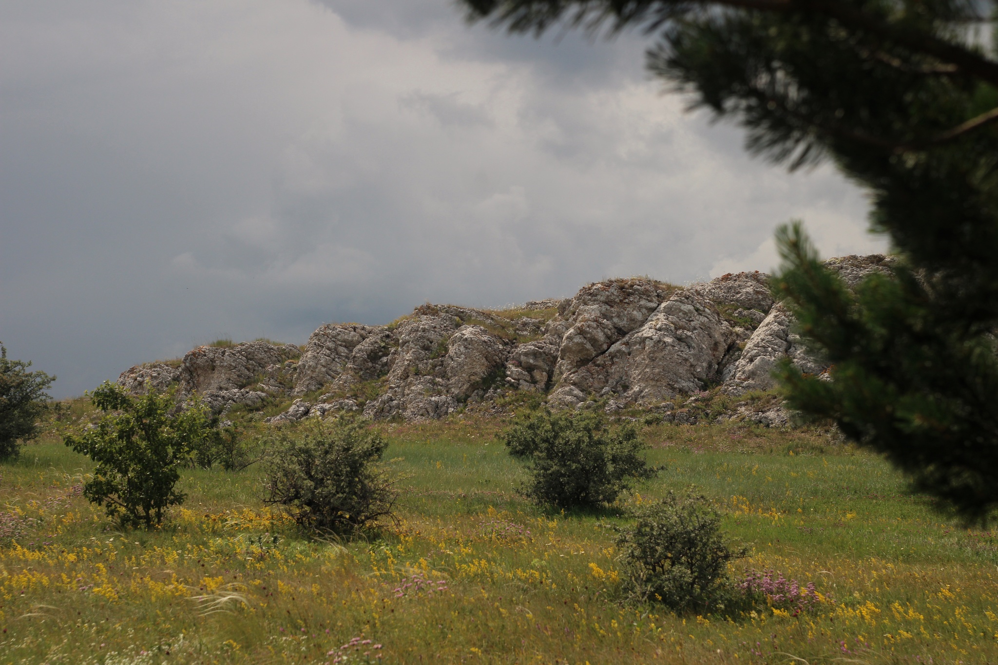 Karabi-yayla, walk, July - My, Crimea, The mountains, The photo, Walk, Landscape, Macro photography, Longpost