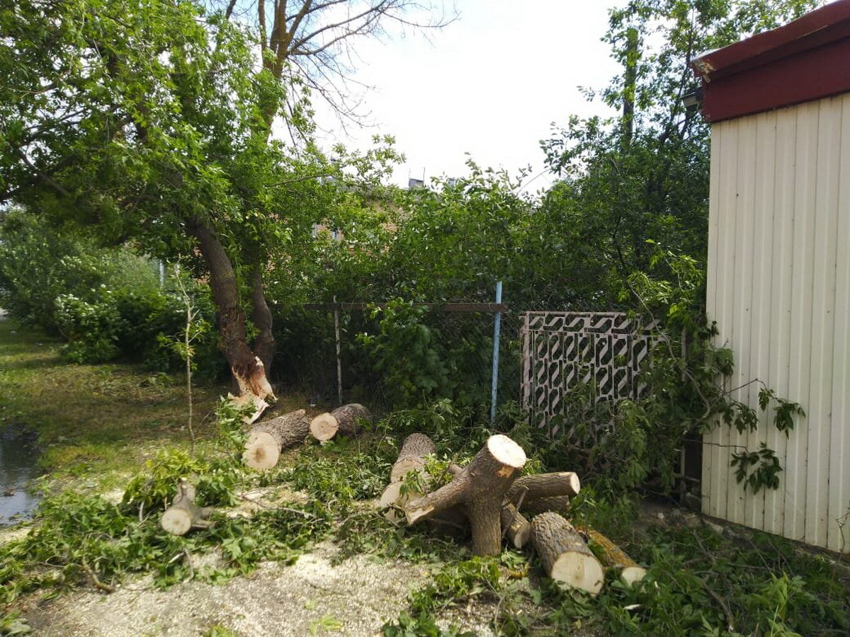 Ураган  в Рязанской области - Моё, Ураган, Рязань, Длиннопост