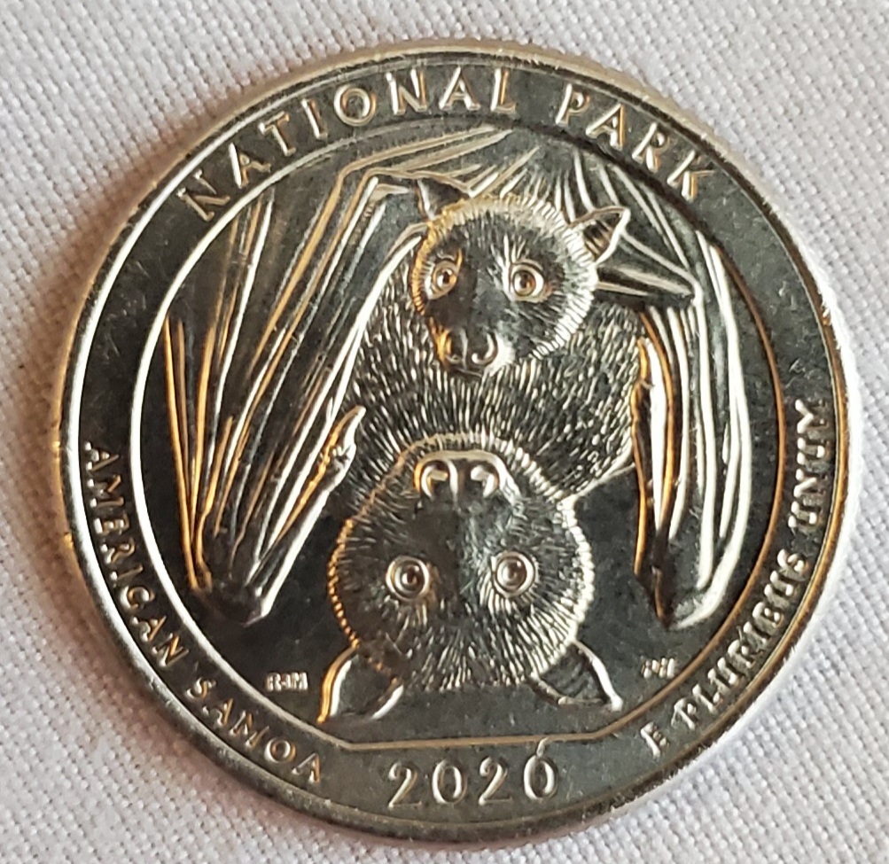 Symbol of 2020 - My, Coin, USA, Coronavirus, Bat