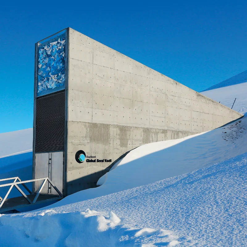 Store forever: how the global seed vault on Spitsbergen works. Long post - Article, Storage, Seeds, Longpost, Spitsbergen, Doomsday Vault