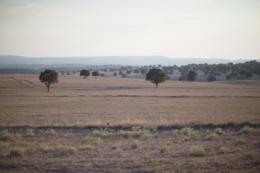 The Other Turkiye (conclusion) - My, Turkey, Travels, Tourism, Туристы, Longpost