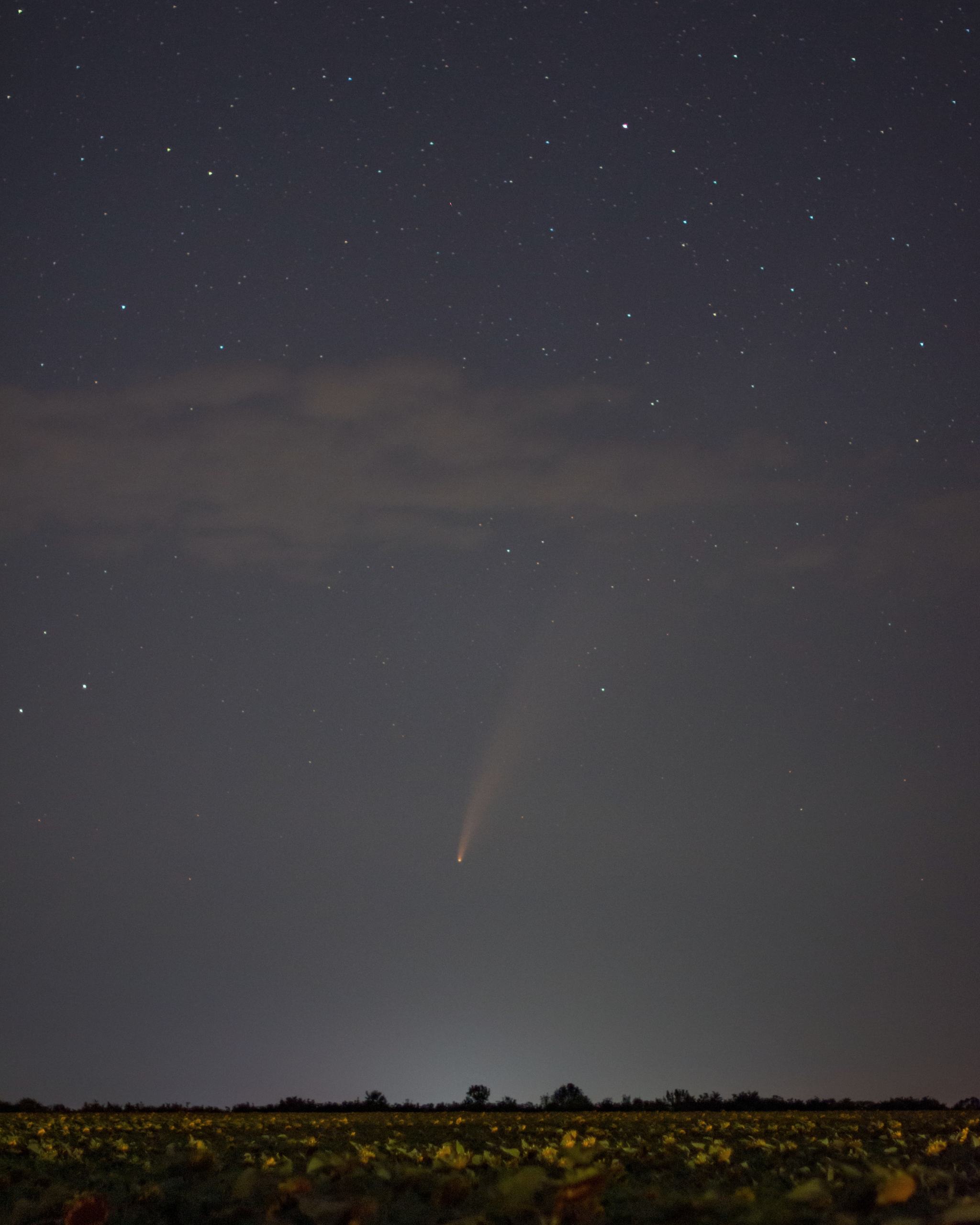 Photo of comet C/2020 F3 (NEOWISE) - My, Comet, Night, The photo, Stars, Neowise