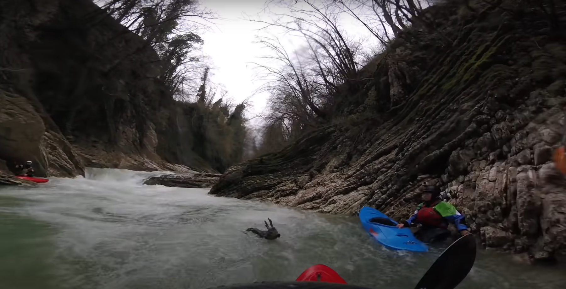 Kayakers rescued a deer caught in the rapid current of a mountain river - Kayak, Deer, Animal Rescue, The rescue, Positive, River, Italy, Video, Longpost