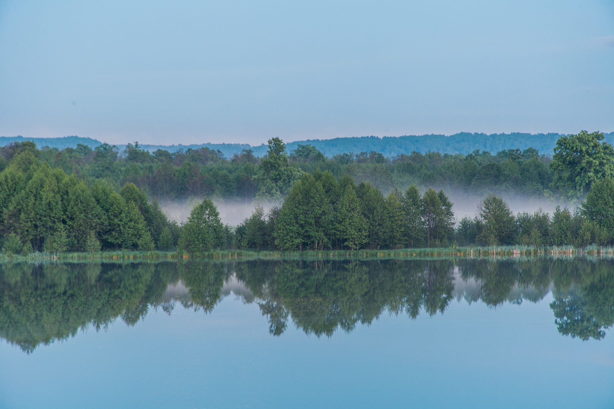 Hunting for the fog - Fog, The photo, Atmospheric, Canon, Longpost, Nature