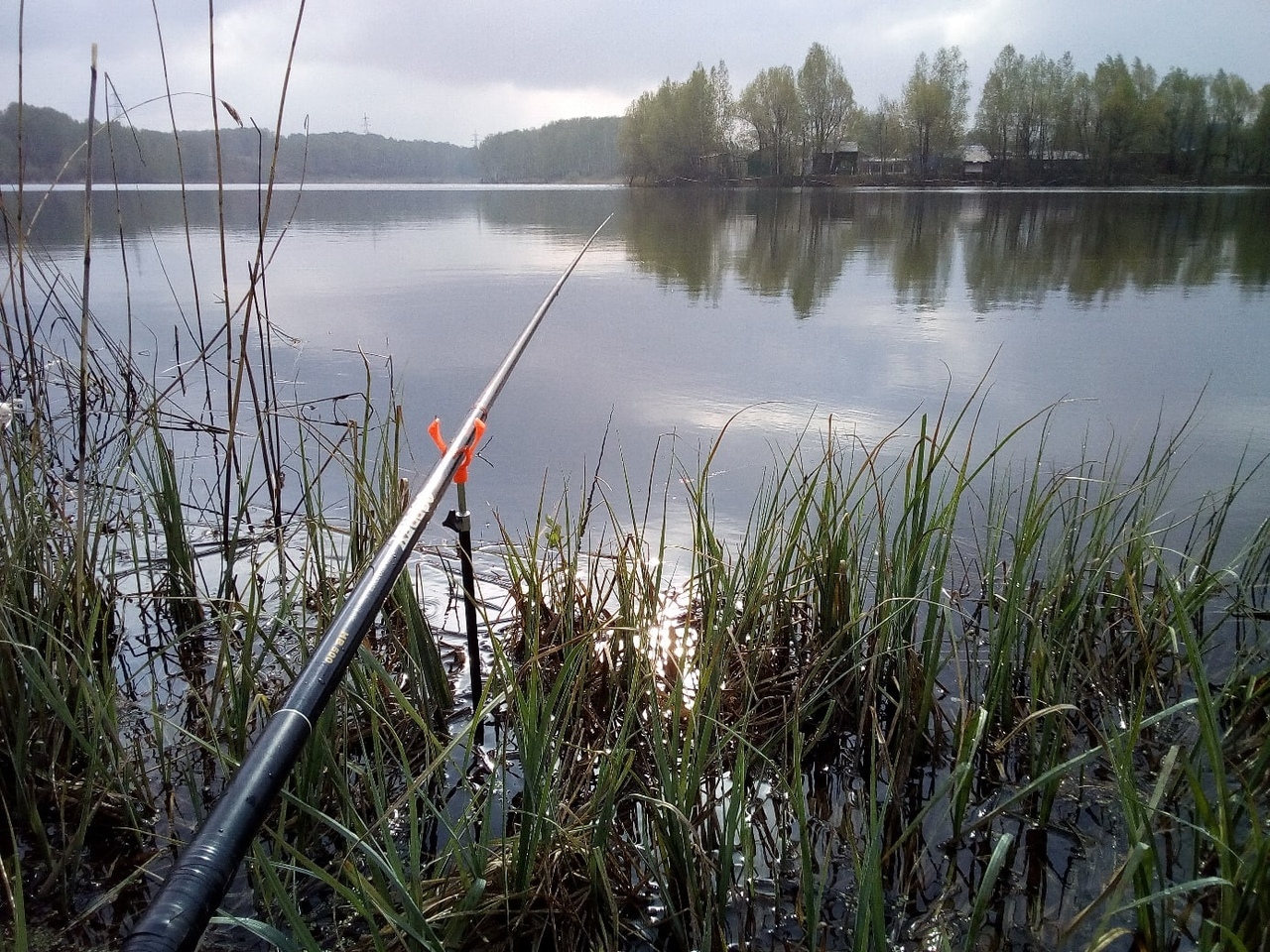 In silence - My, Lake, Carp, Privacy, Fishing