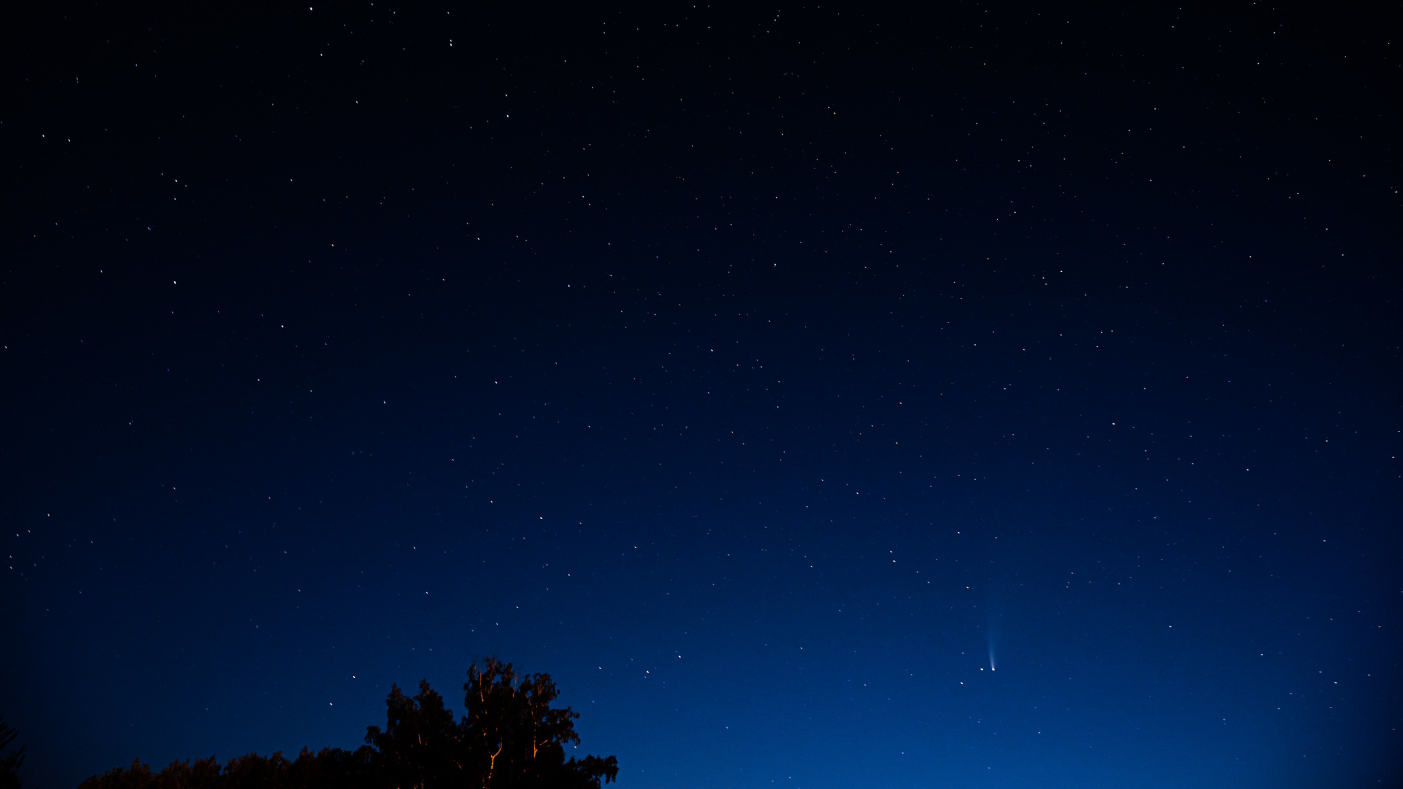 NEOWISE, Kemerovo - My, Neowise, Kemerovo, Sky, The photo, Comet