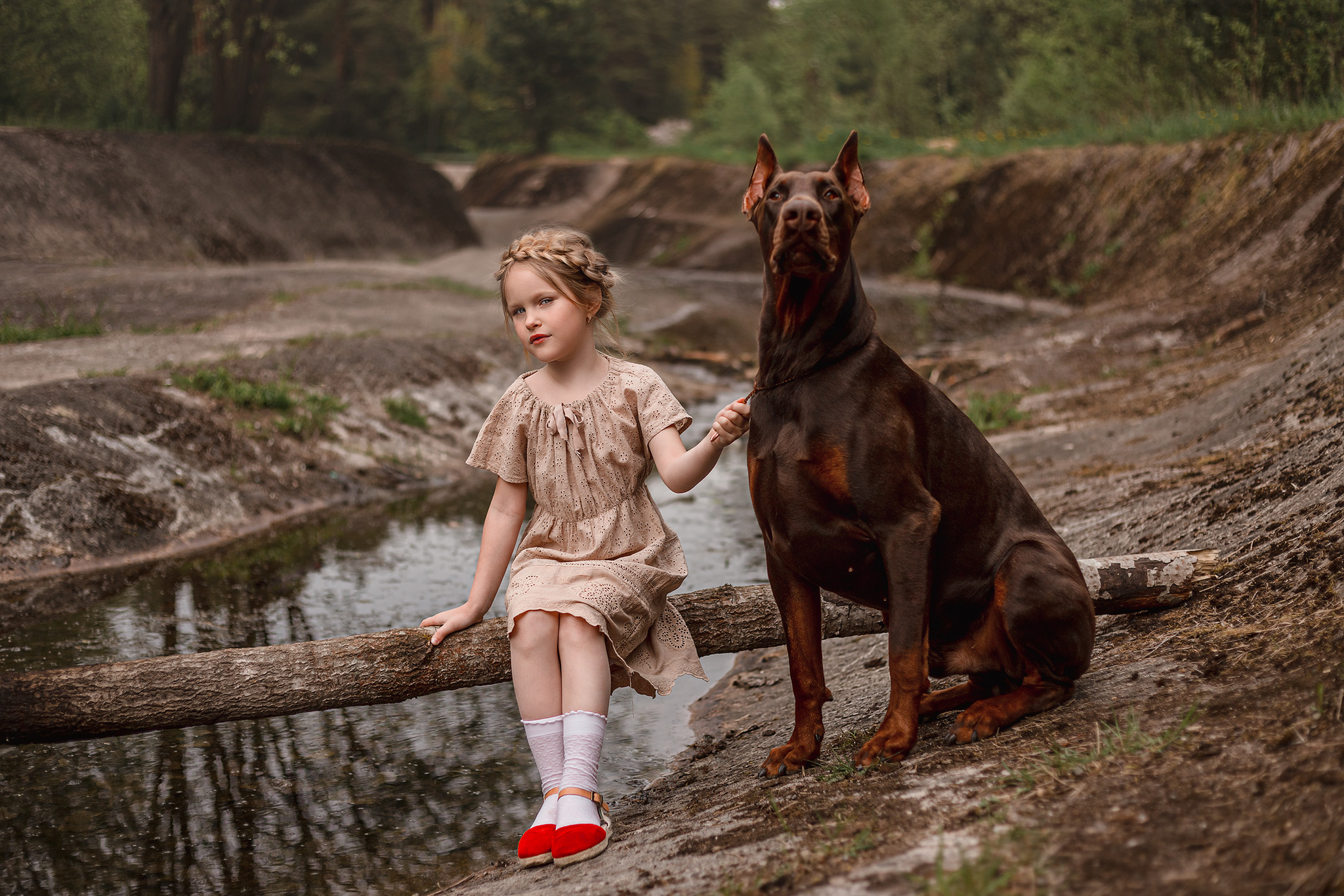 Фото добермана девочки