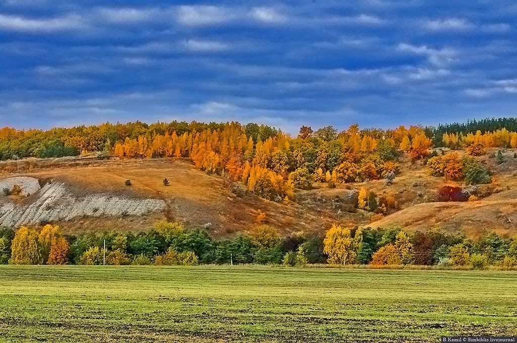 Ульяновская природа. Золотая гора Ульяновская область. Лесостепь Ульяновской области. Золотая гора заповедник Ульяновская область. Ульяновск природа.