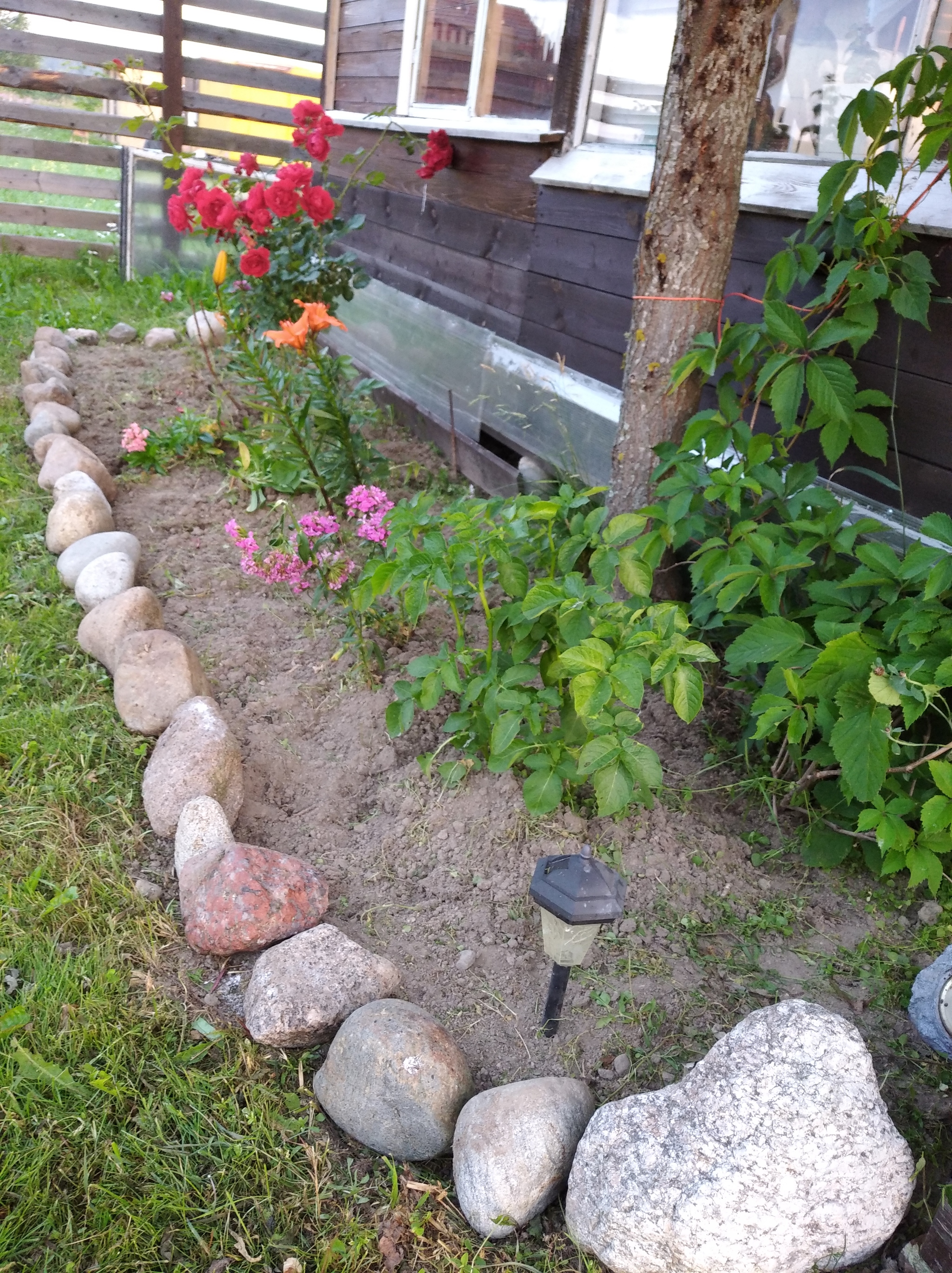 Country house - My, Dacha, Summer, Whisper, Good mood, Longpost