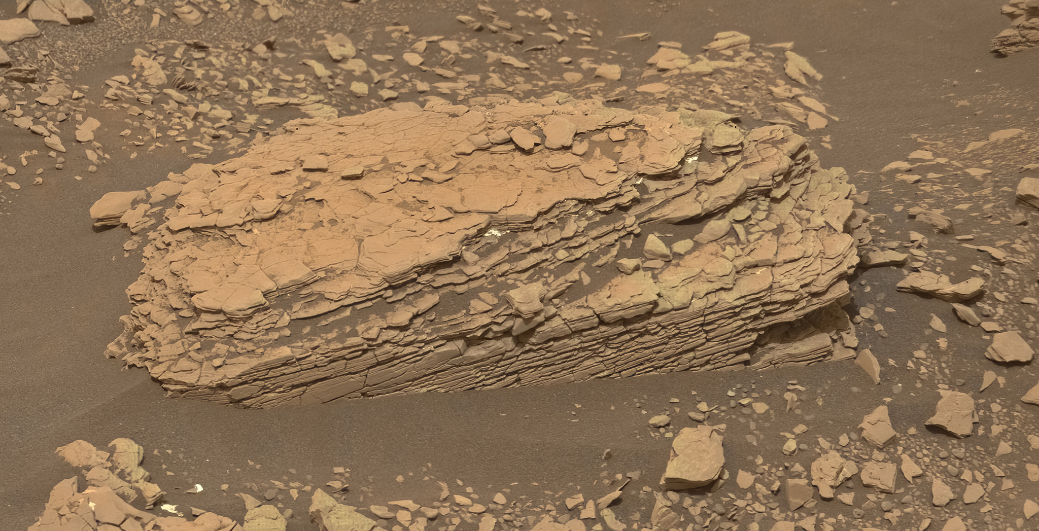 Лилия Кьюриосити Фото – Telegraph