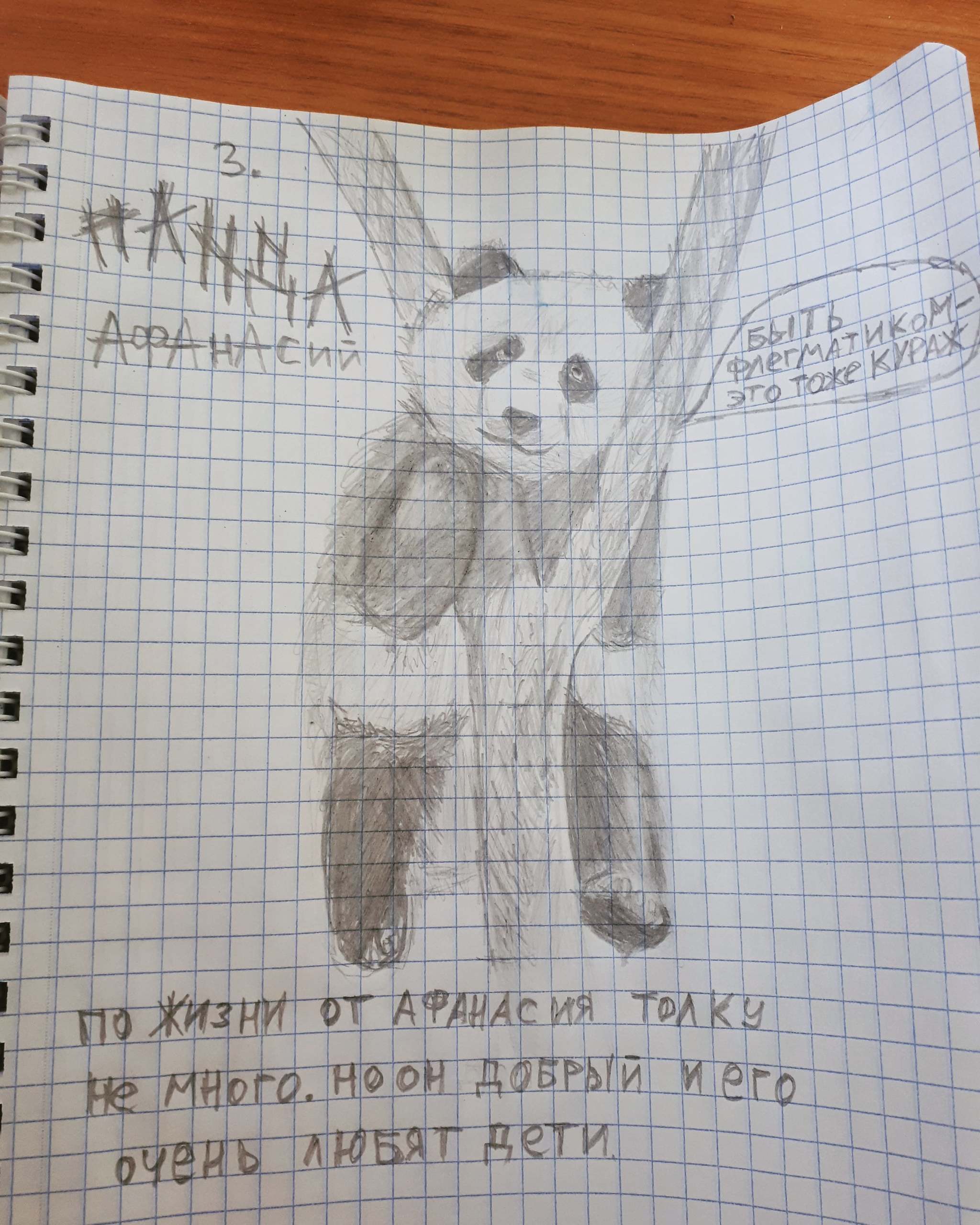 Zoo 3. Panda Afanasy - My, Zoo, Art, Panda, Athanasius, Pencil drawing, Pencil, Humor