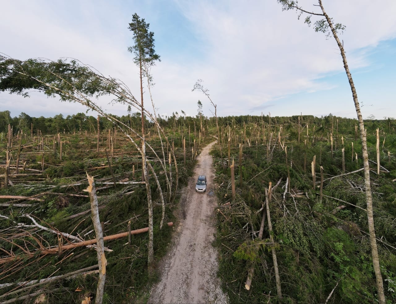 Consequences of a tornado in the Kolomensky district - Nature, Natural disasters, Tornado, Images, Longpost