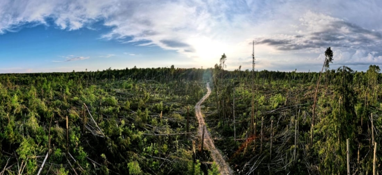 Consequences of a tornado in the Kolomensky district - Nature, Natural disasters, Tornado, Images, Longpost