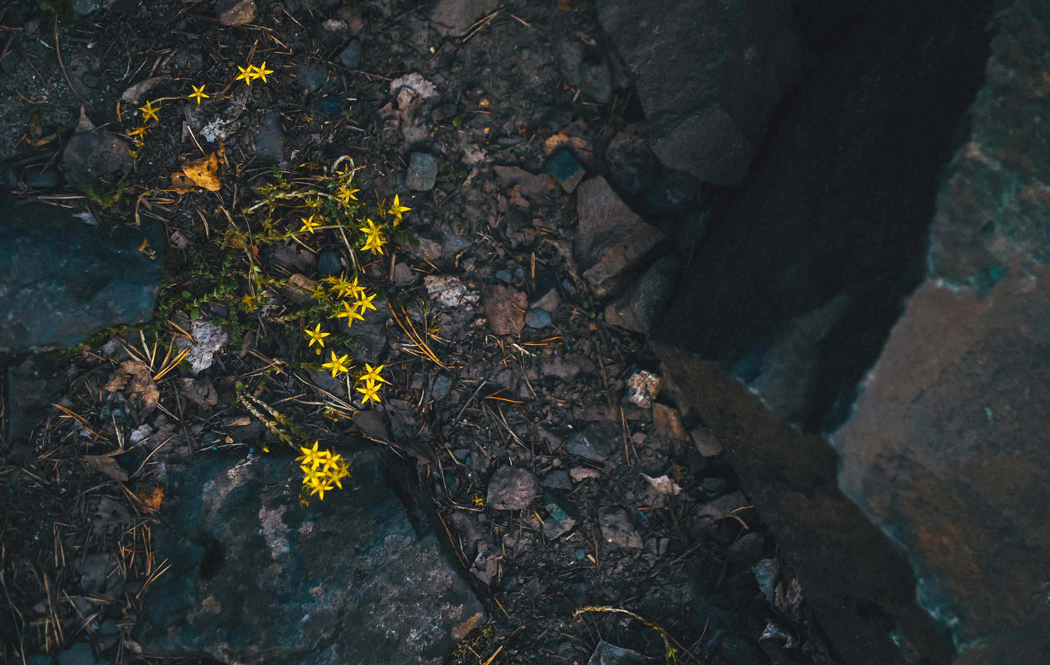 Textures of Karelia - My, The photo, Canon, Nature, Longpost, Карелия