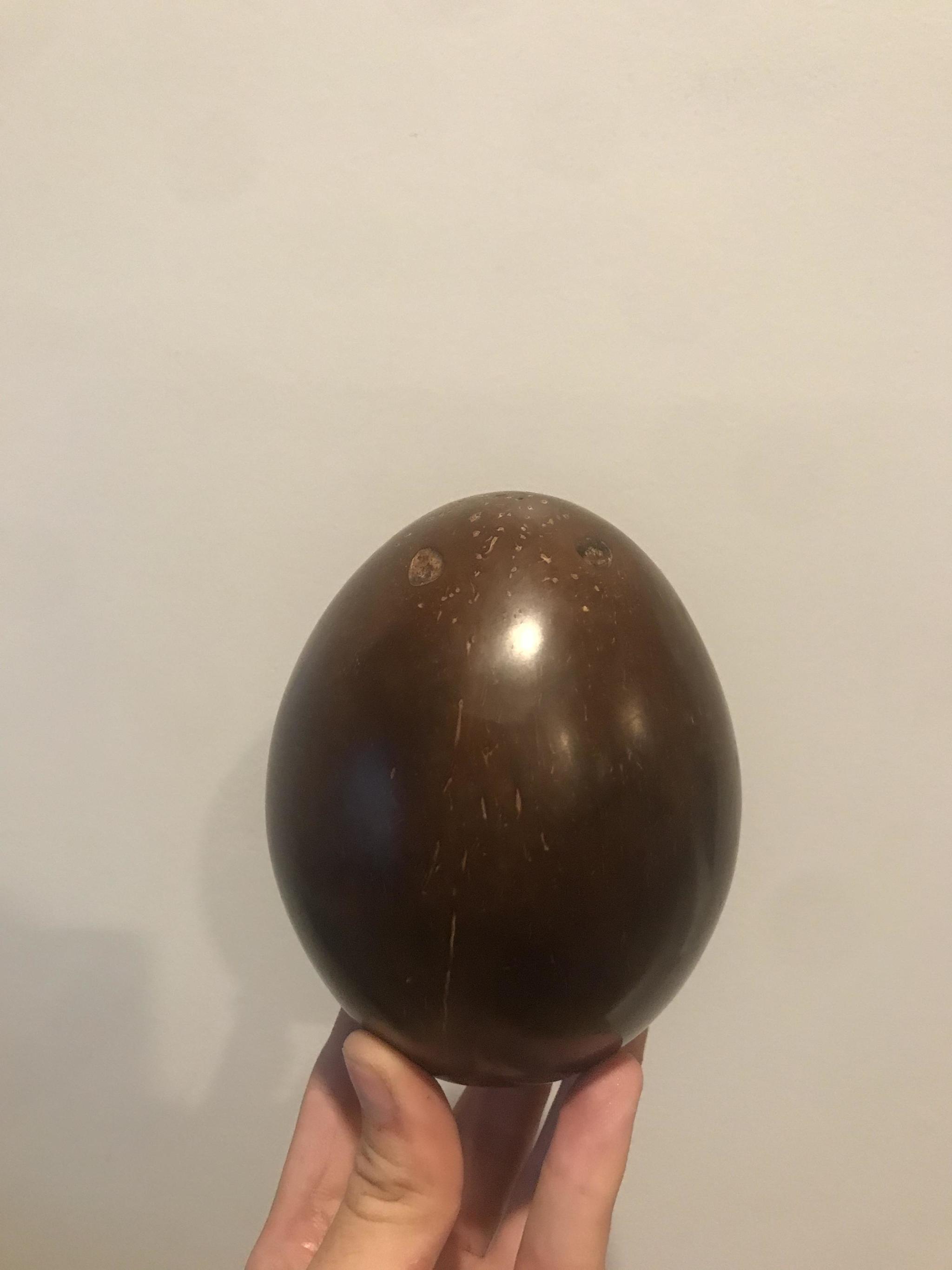 Polishing a coconut until it resembles a chocolate egg - Eggs, Coconut, Chocolate, Polishing