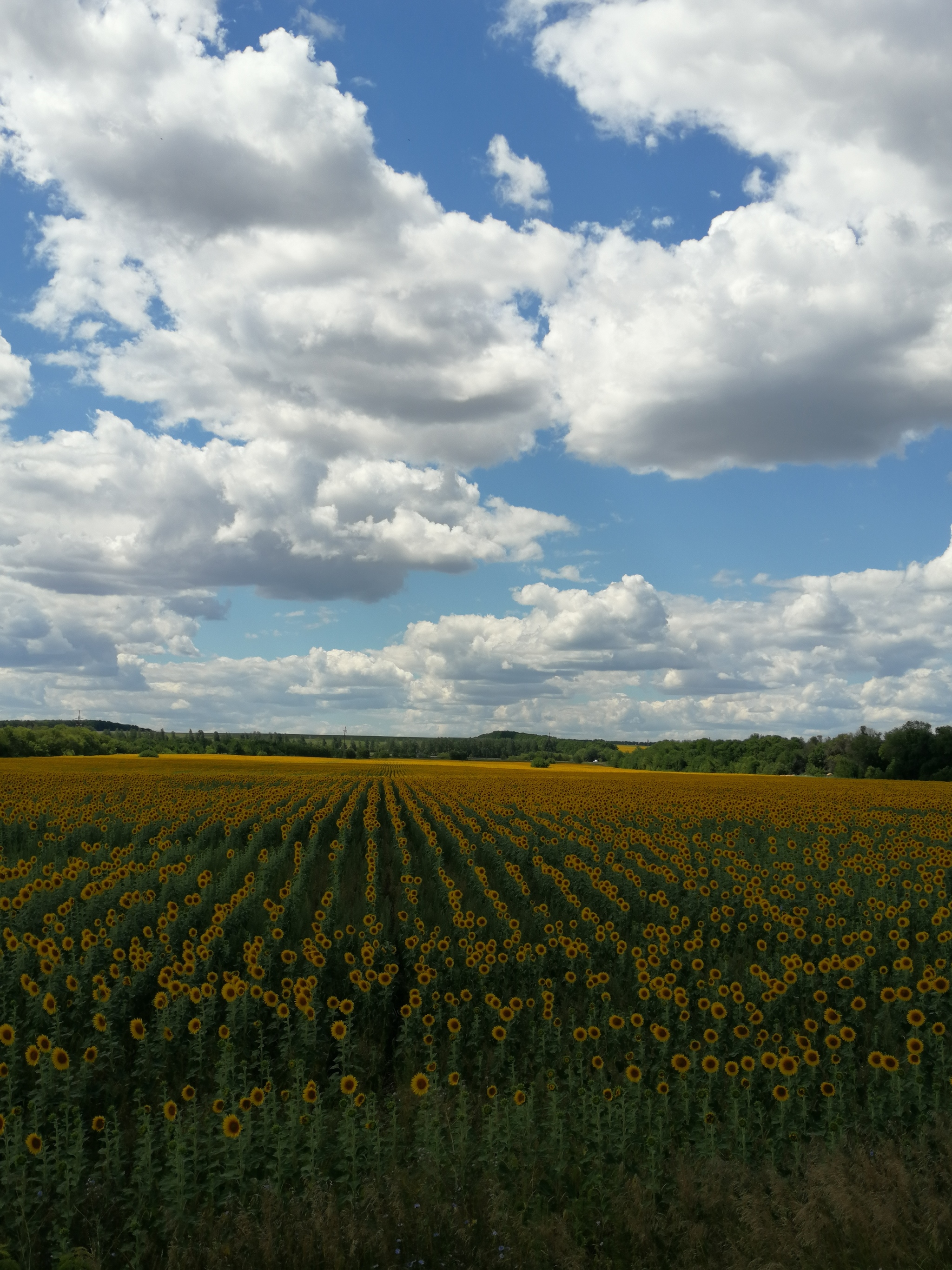 Красота родного края. Родные края. Родной край картинки. Картинка природа родного края.