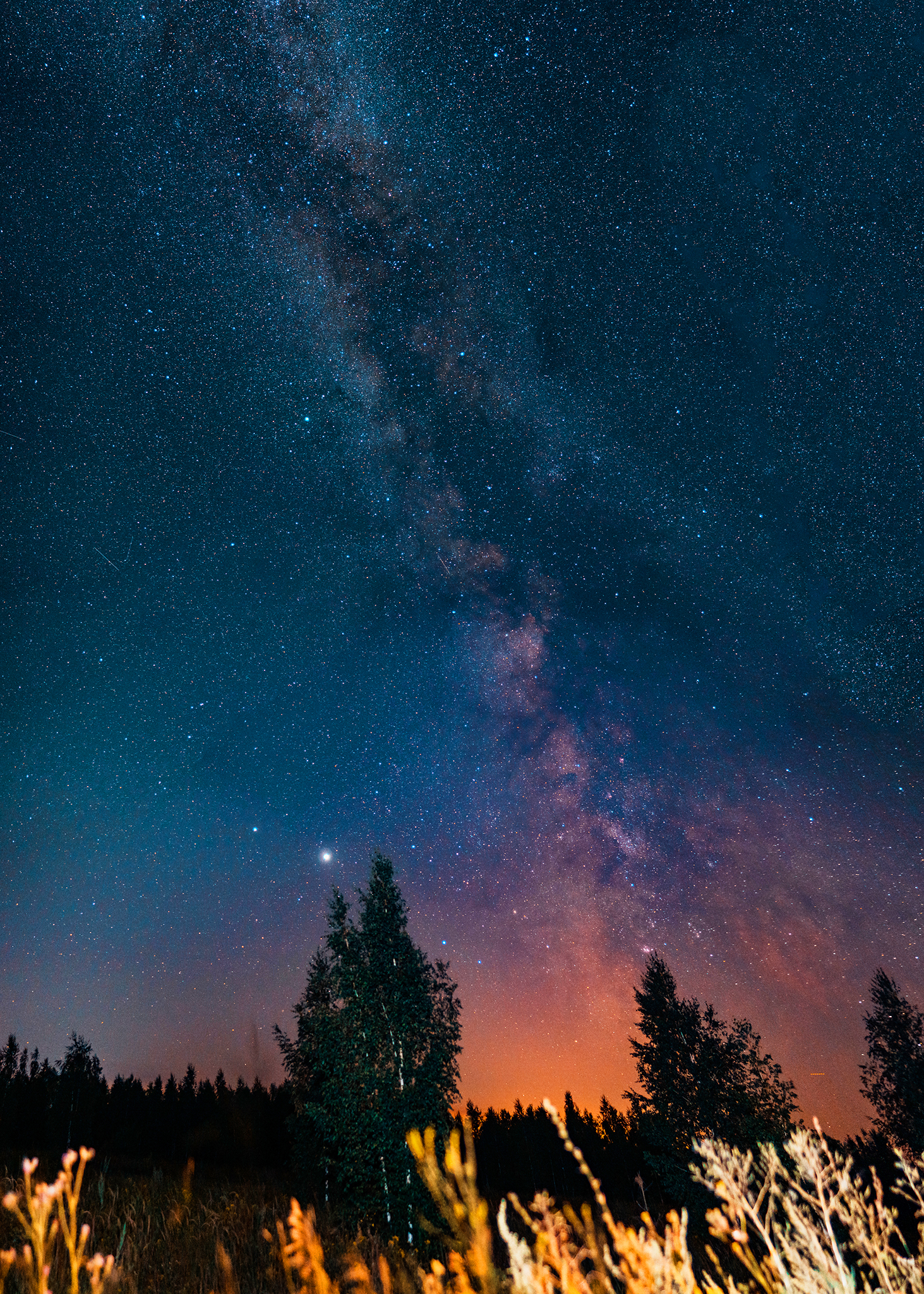 Simply space - My, Astrophoto, Stars, The photo, Night, Space, Milky Way