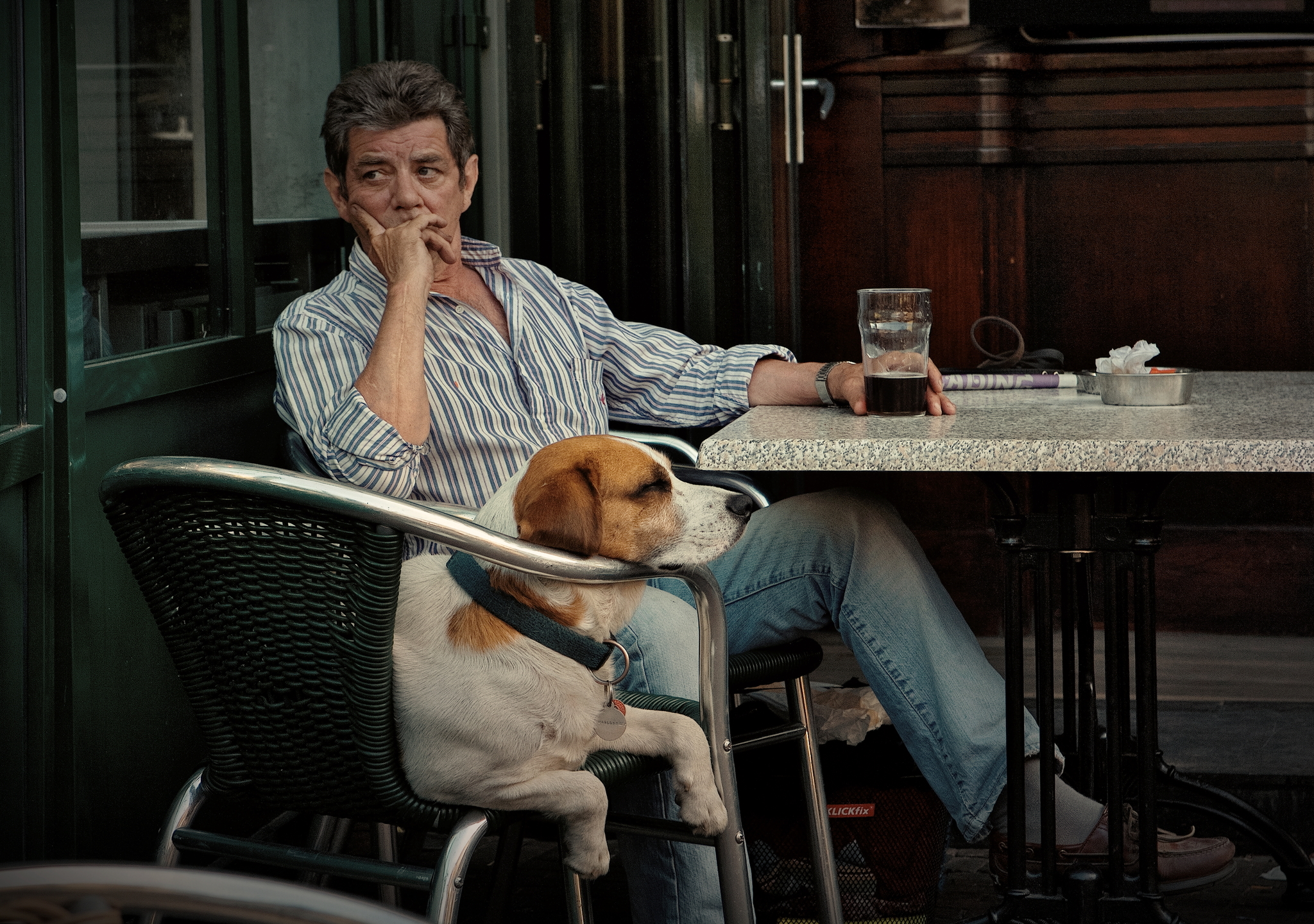 GUINNESS TIME - My, The photo, Guinness beer, Dog, Evening, Amsterdam, Relaxation, Canon