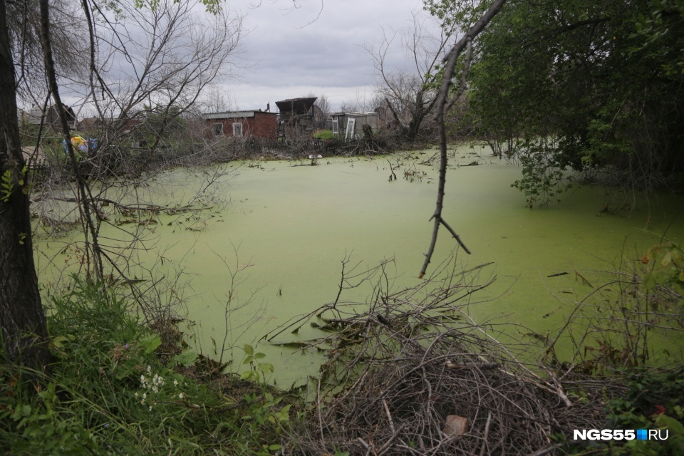 Omsk Atlantis: a holiday village has been under water for five years and looks like footage from The Witcher - news, Ngs, Society, Omsk, Longpost