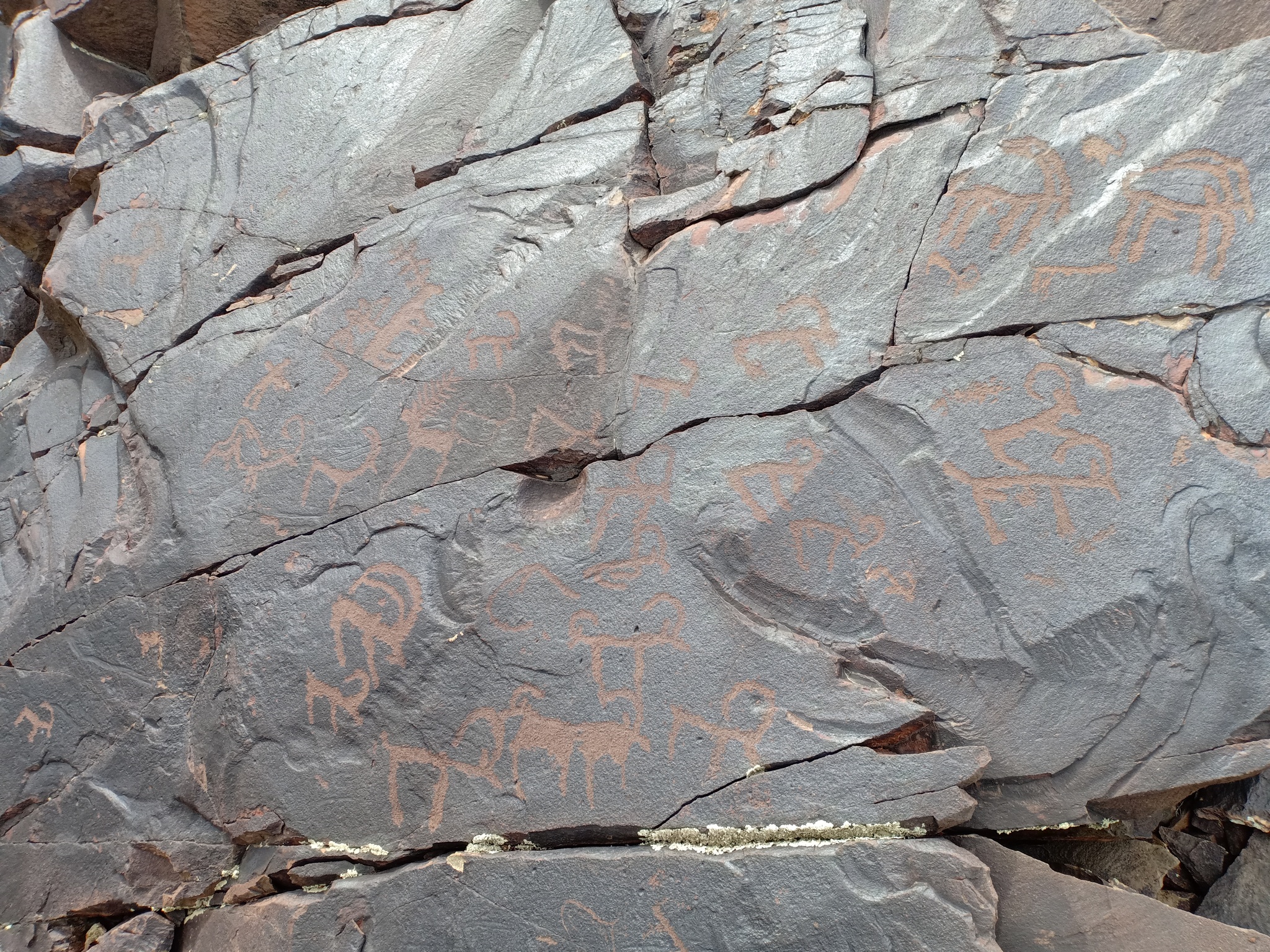 Rock paintings of East Kazakhstan region - My, Rock painting, Kazakhstan, East Kazakhstan, Nature, Tourism, Walk, beauty, Longpost