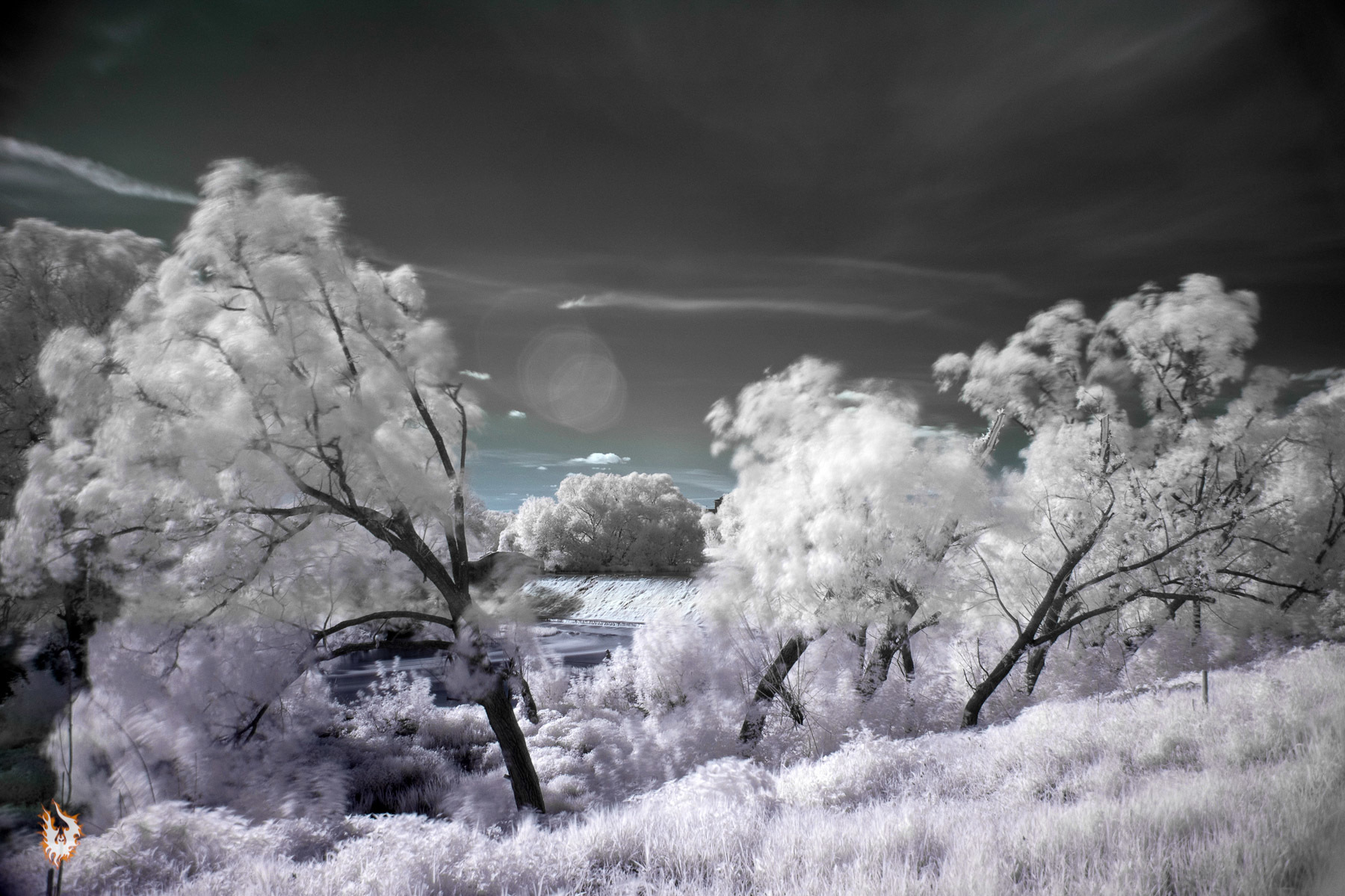 Tests in IR photography - My, Infrared shooting, Nikon, Landscape, Longpost