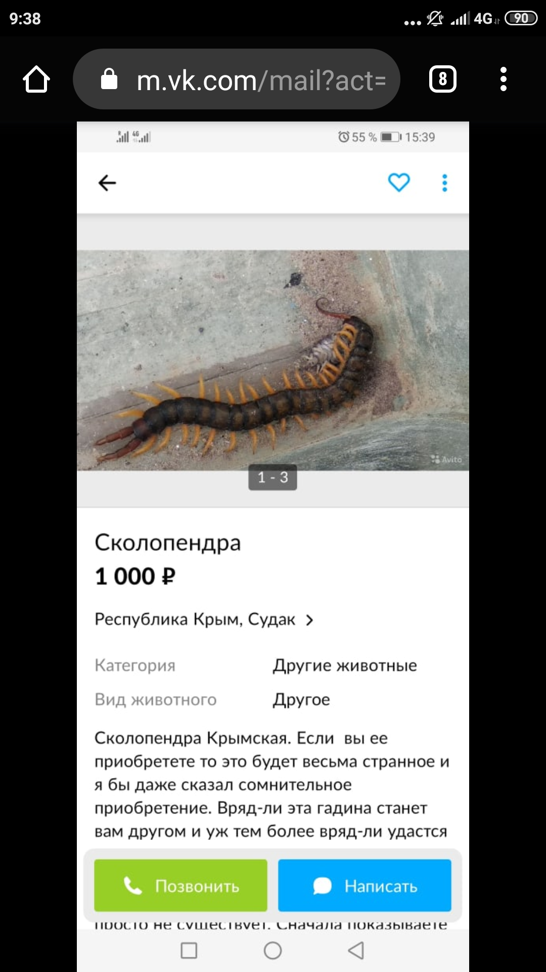 Buy (elephant) scolopendra - Scolopendra, Insects, Crimea, Guests, Mother-in-law, Longpost, Screenshot