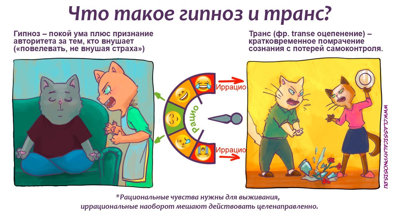 Гипноз: истории из жизни, советы, новости, юмор и картинки — Лучшее,  страница 5 | Пикабу