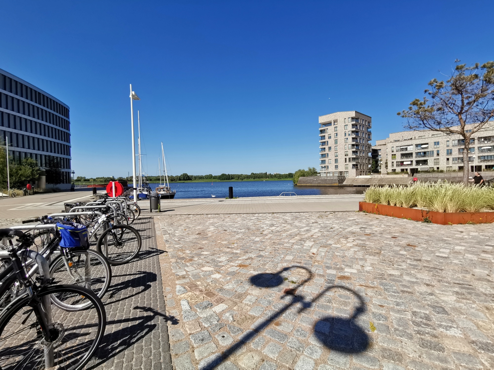 City of Rostock. Photos. June 2020 - My, Germany, Sprout, Town, The photo, GDR, Longpost