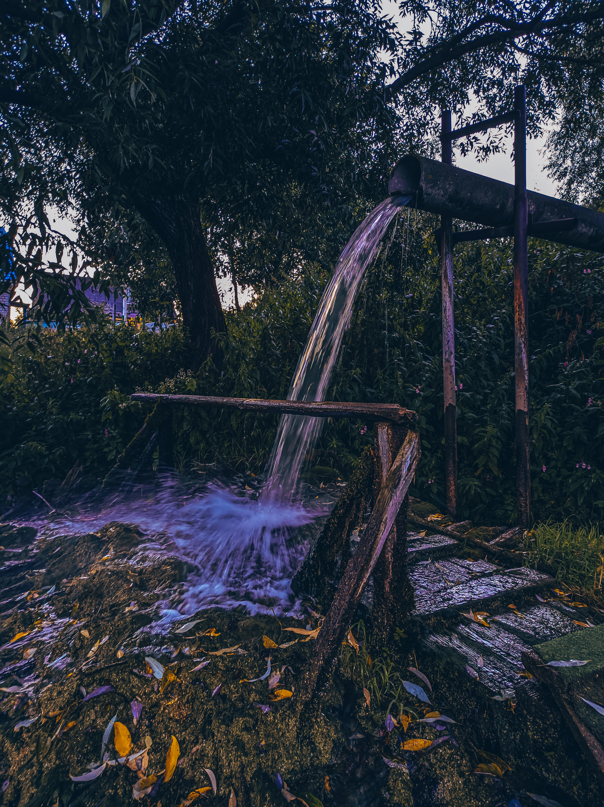 Calmness, peacefulness and beauty in the ordinary - My, Nature, Car, Truck, Cherry, A rock, The photo, Water, Longpost