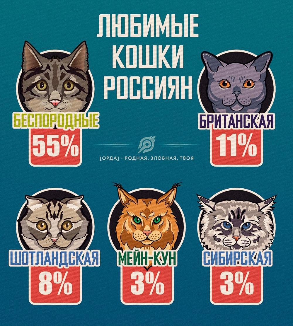 К Международному Дню кошек - Кот, Статистика, День кошек