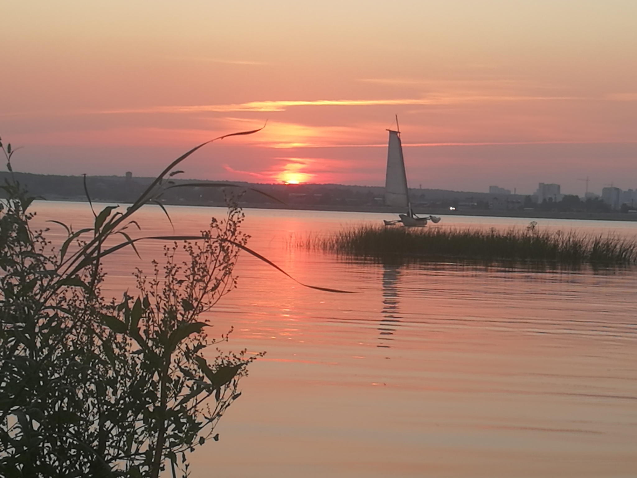 Trimaran - Trimaran, Yachting, Sunset