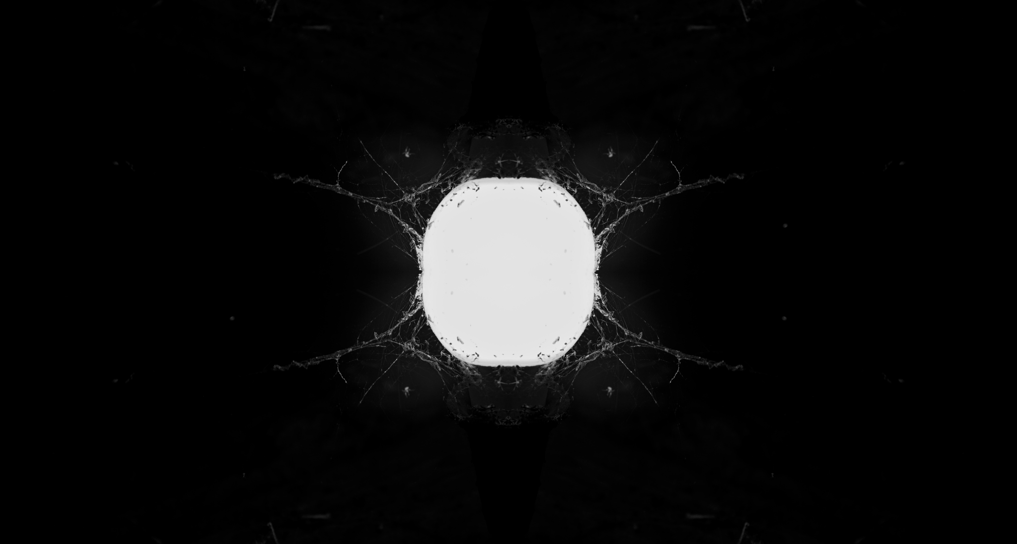 Symmetry of Horror - My, Photoshop, Bulb, Darkness, Kripota