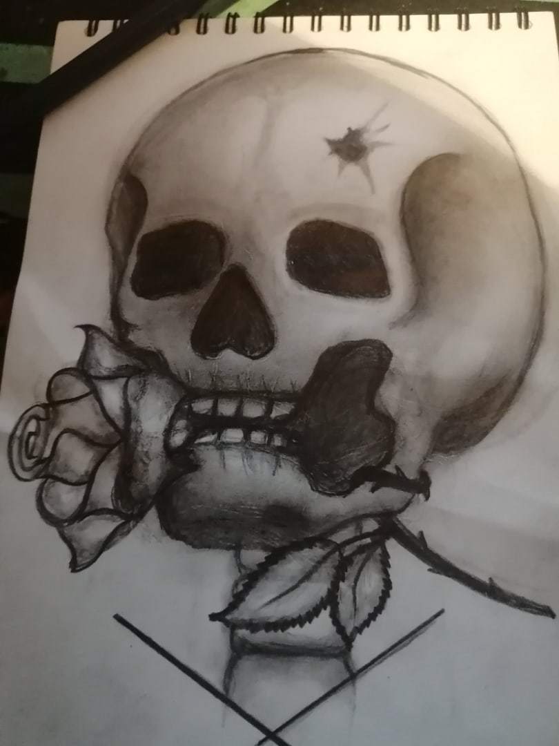 My new drawing, I rarely draw, and as they say “out of the blue” - My, Scull, Drawing, Pencil, Skeleton, the Rose