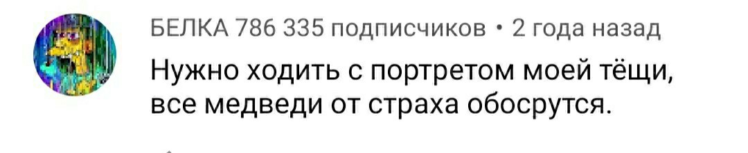 О встречах с медведем - Бурые медведи, Комментарии, Длиннопост, Медведи, Скриншот