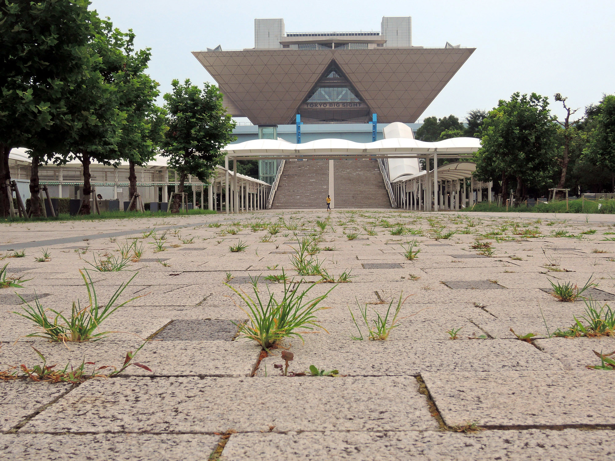 Our meeting place is overgrown with grass - Japan, Tokyo, Comiket, Coronavirus