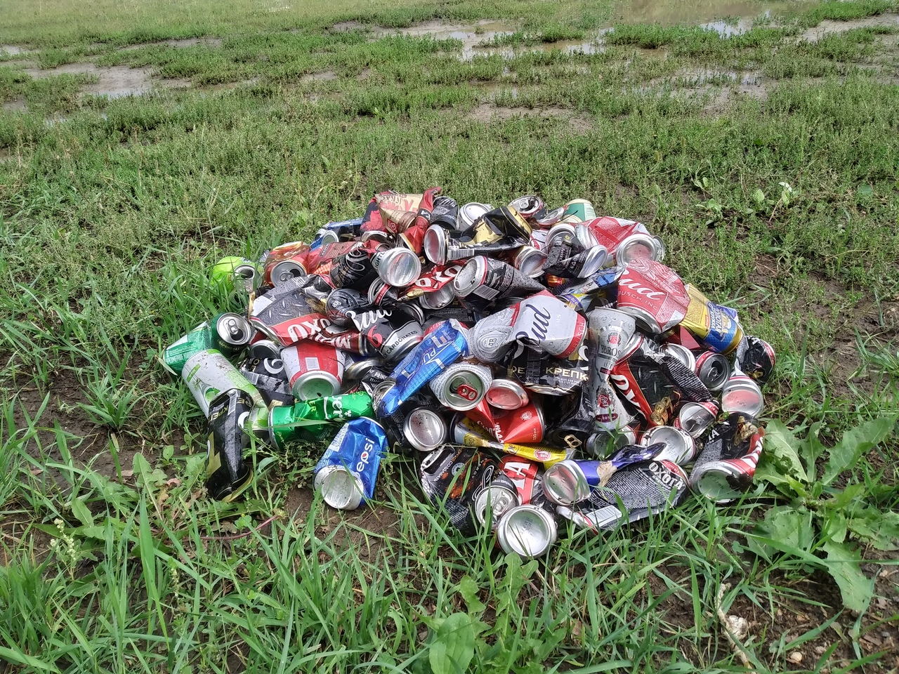 How much can you earn by collecting aluminum cans? - My, Chistoman, Pure Man's League, Separate garbage collection, Saturday clean-up, Longpost, Recyclable materials