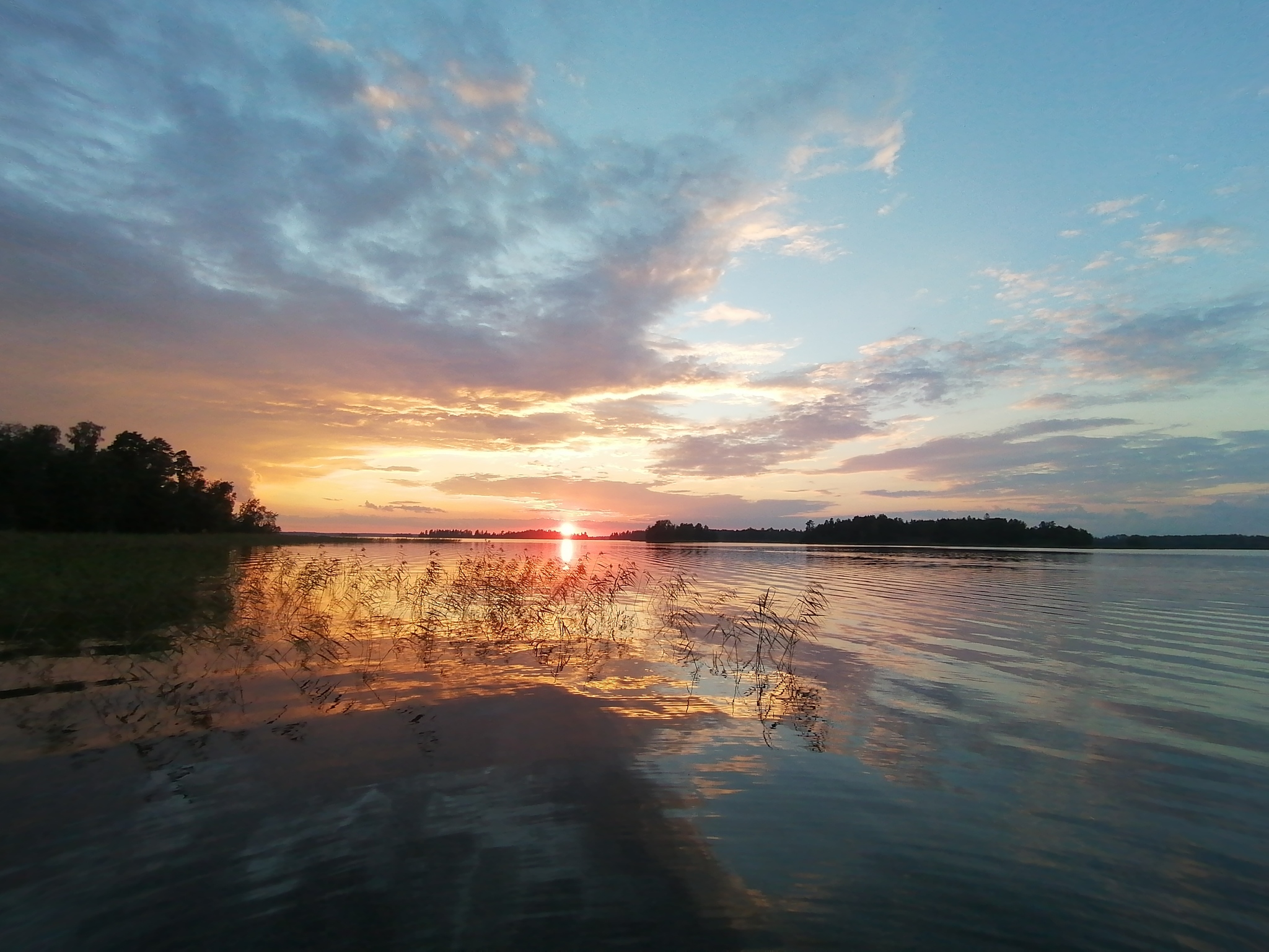 Lake Vuoksa - My, Leningrad region, Lake Vuoksi, Mushrooms, Longpost, The photo